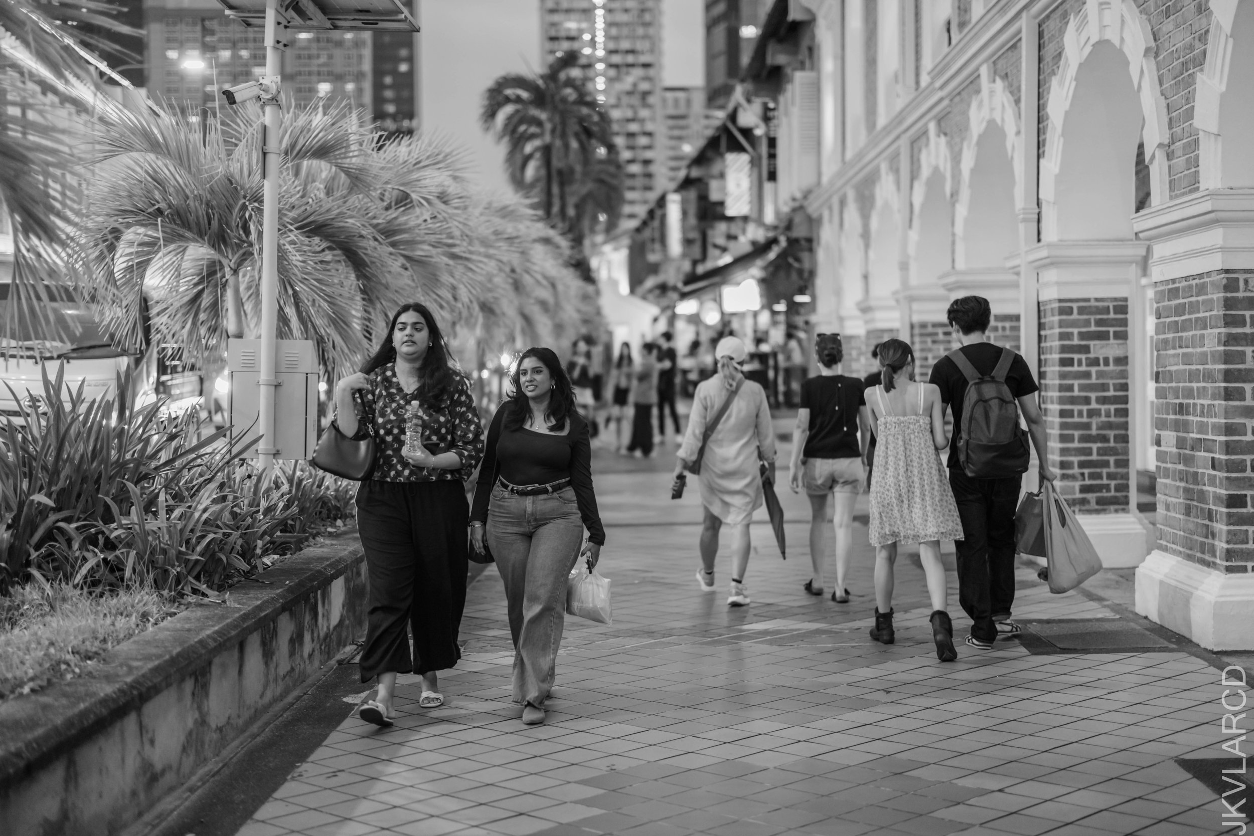 EOS R5_2026_07_25_0020.jpg