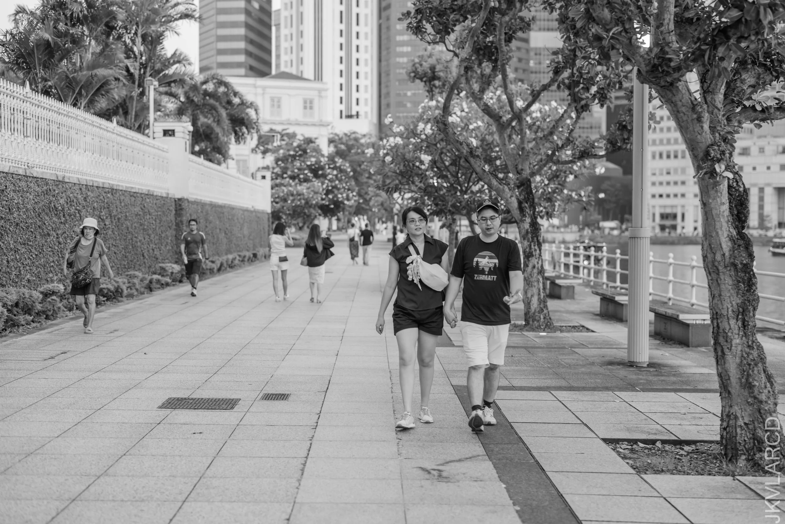 EOS R5_2026_08_08_0005.jpg