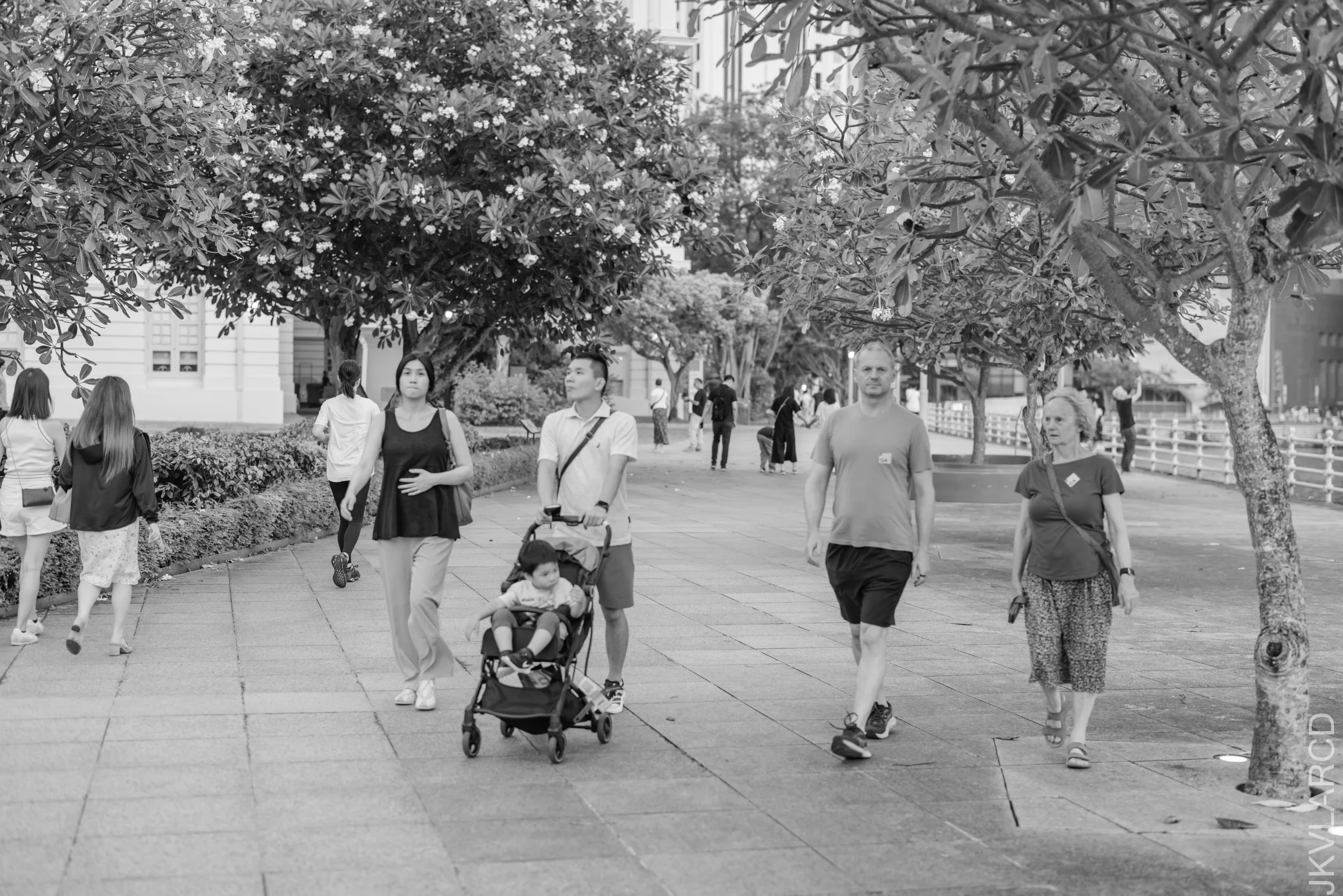EOS R5_2026_08_08_0008.jpg