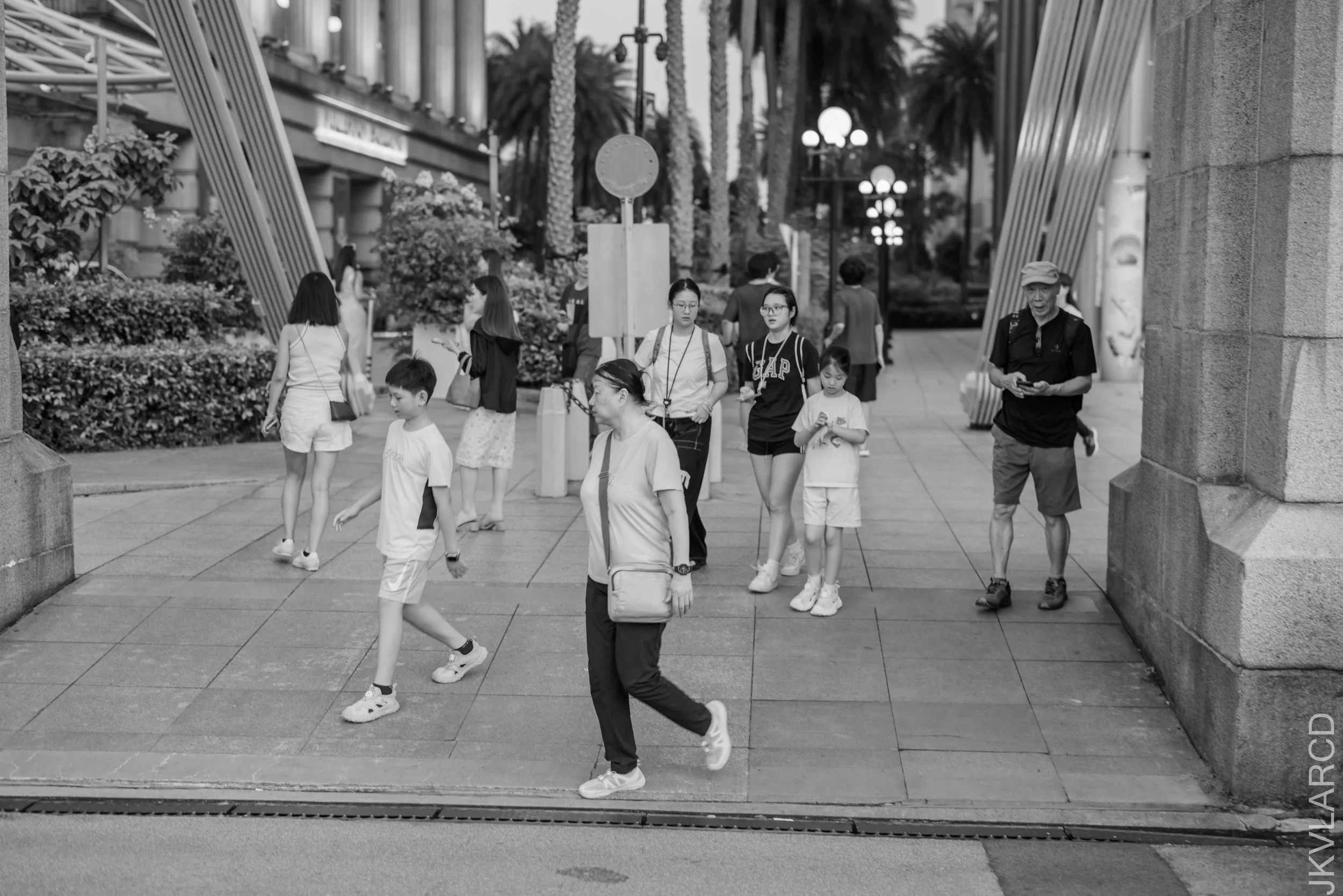 EOS R5_2026_08_08_0037.jpg