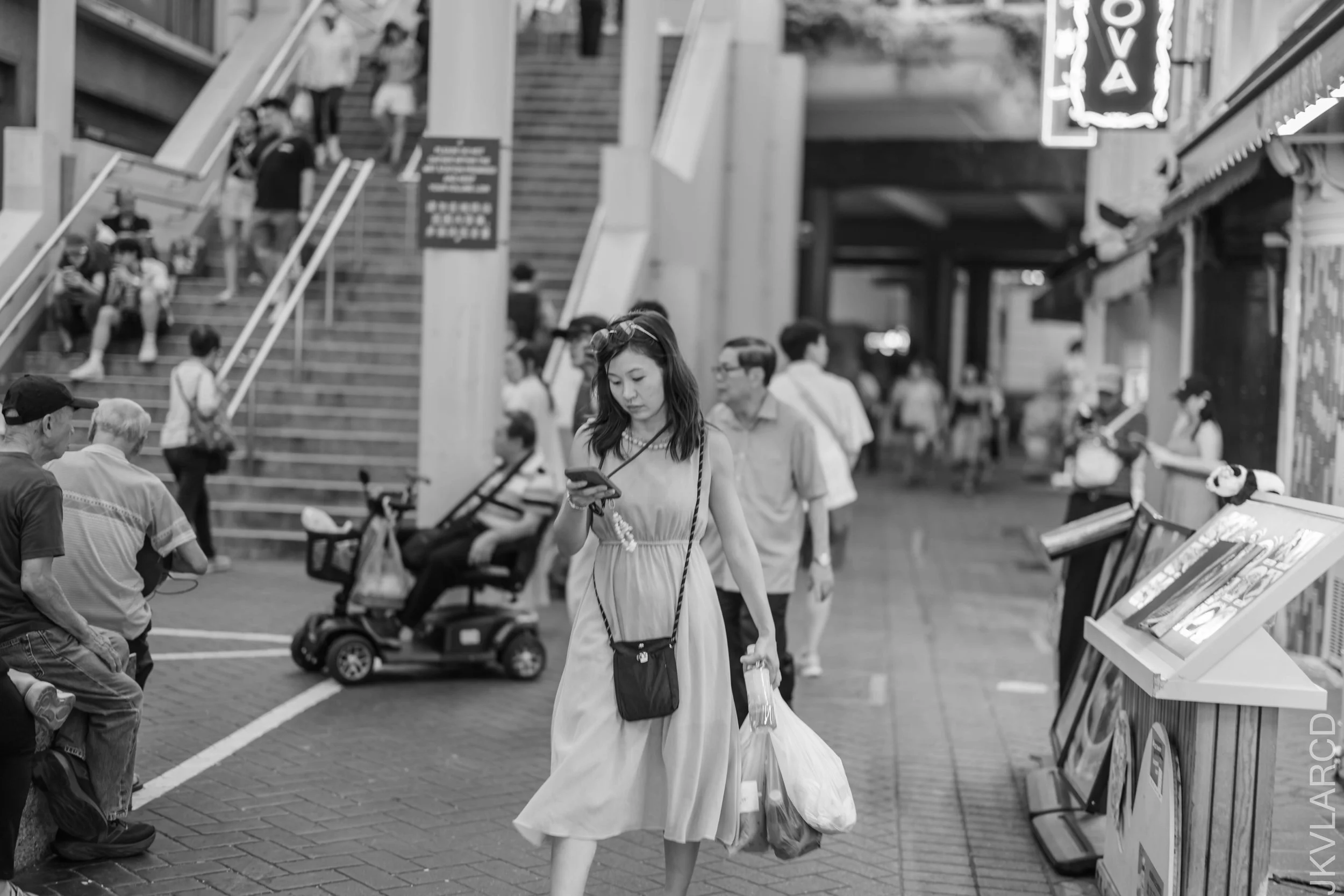 EOS R5_2026_08_15_0108.jpg