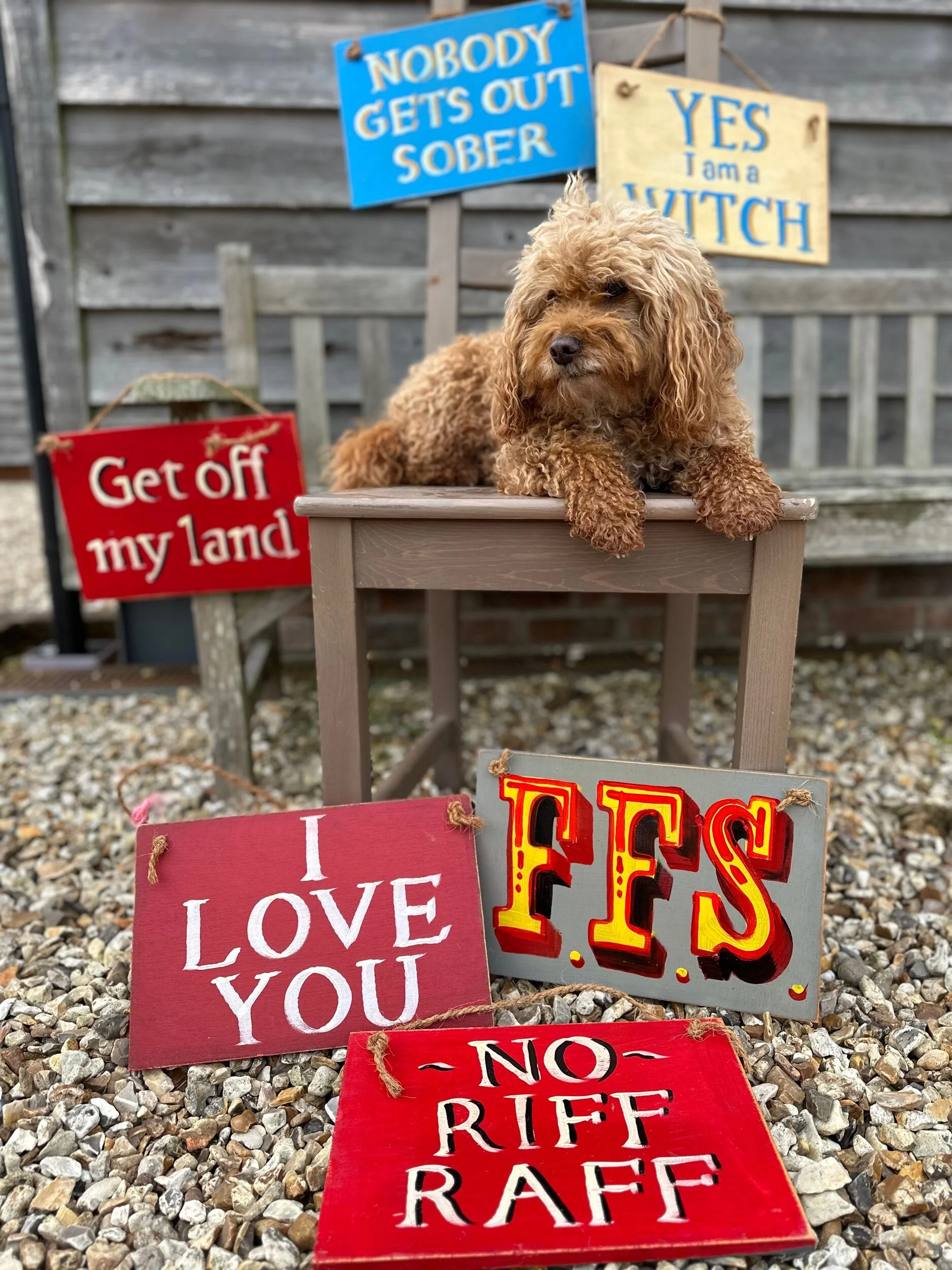 C54C737B-3D1C-40ED-AB69-75A2C6B835C6