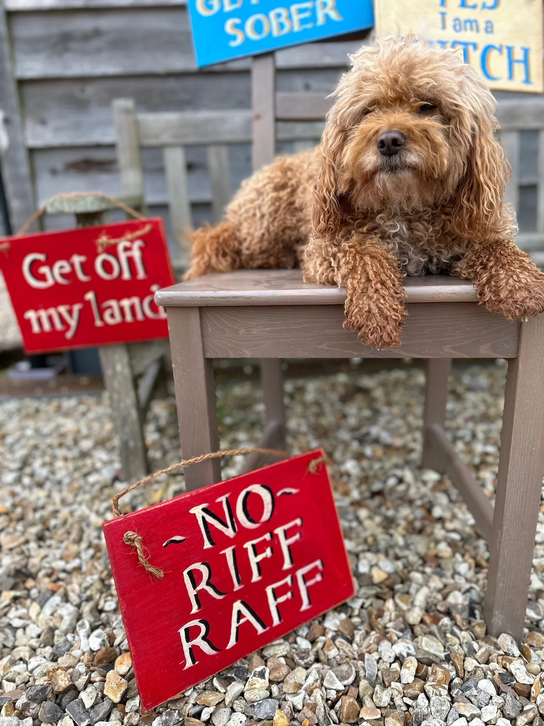 CECF15A2-6822-47F3-BEBE-1A8865549EEA