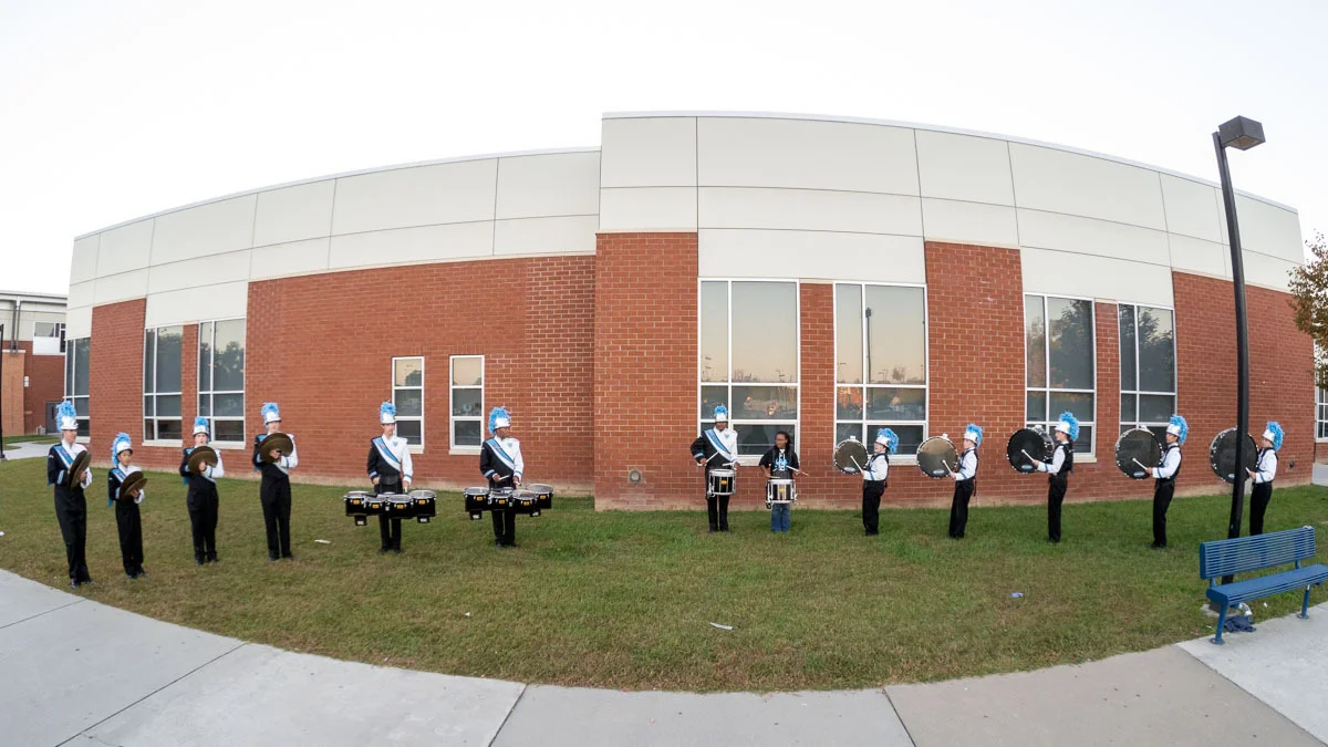 tmb-lcbird-16oct15-104018.jpg