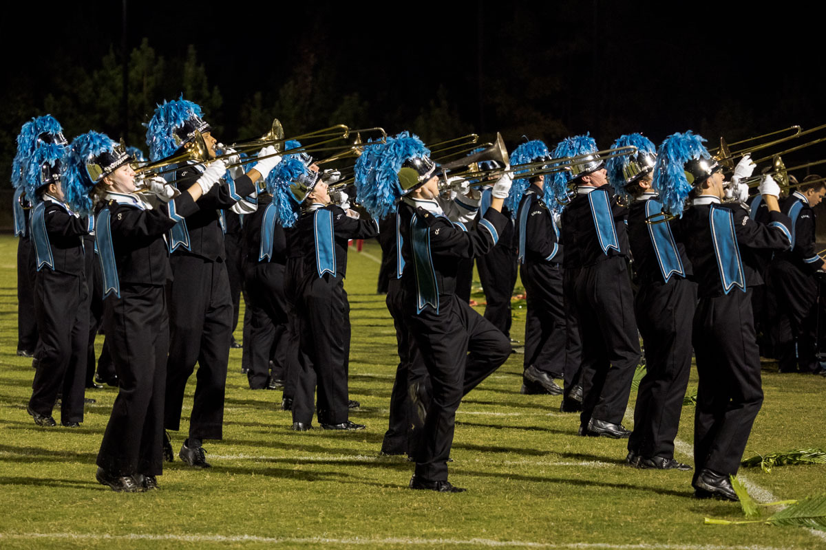 tmb-lcbird-16oct15-165657.jpg