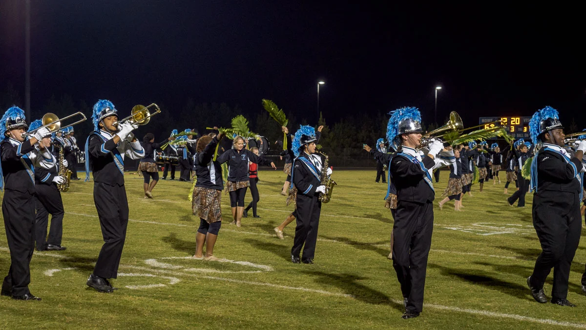tmb-lcbird-16oct15-104107.jpg