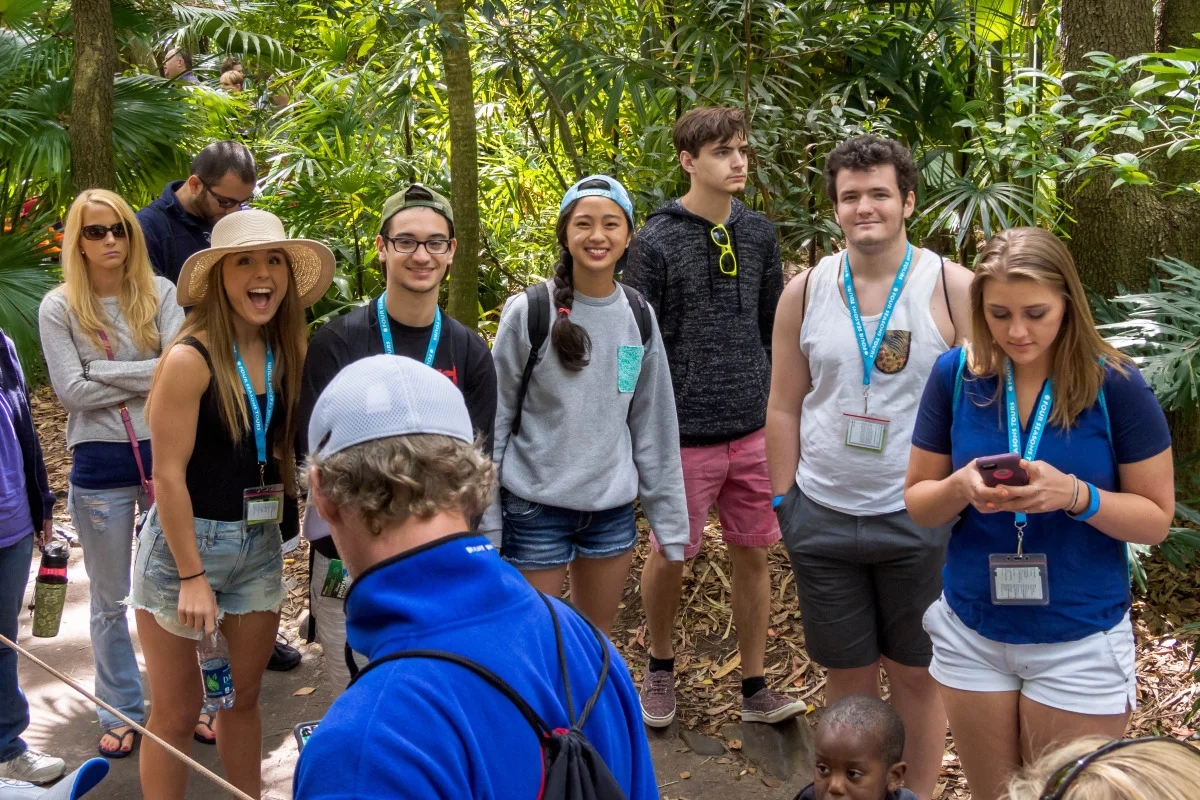 tmb-disney-2015-102230.jpg