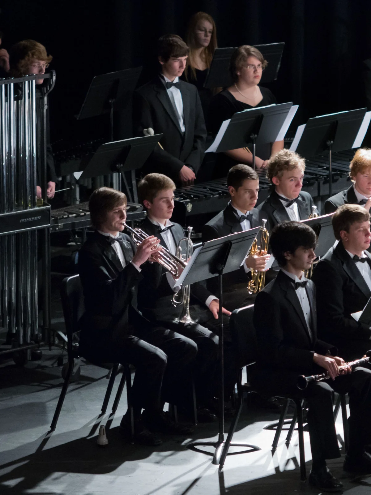 cosby hs 2014 state assessment__3083004.jpg