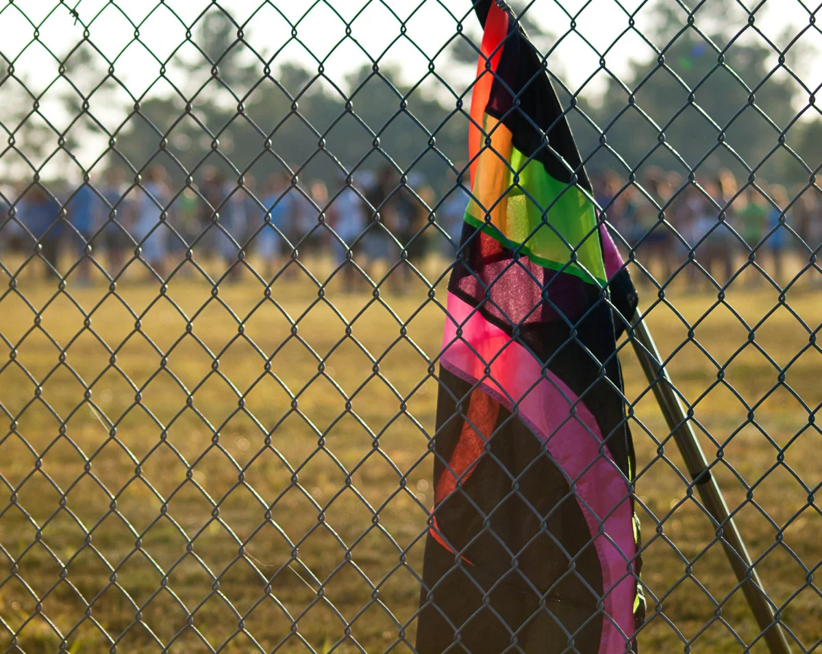 p8243532_after acr.jpg