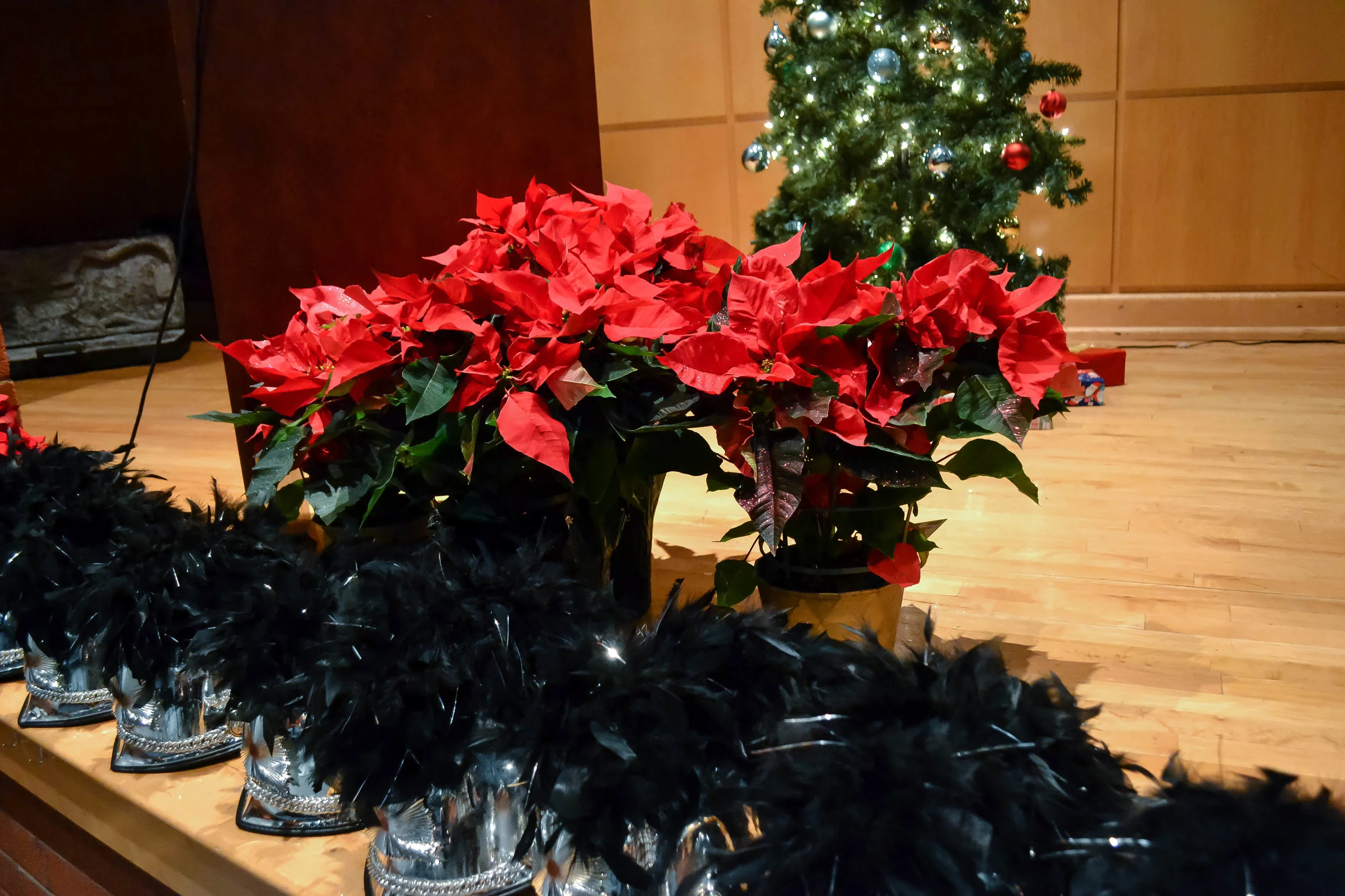 2018_1207_CHS-TitanBand-Winter-Concert-2.jpg