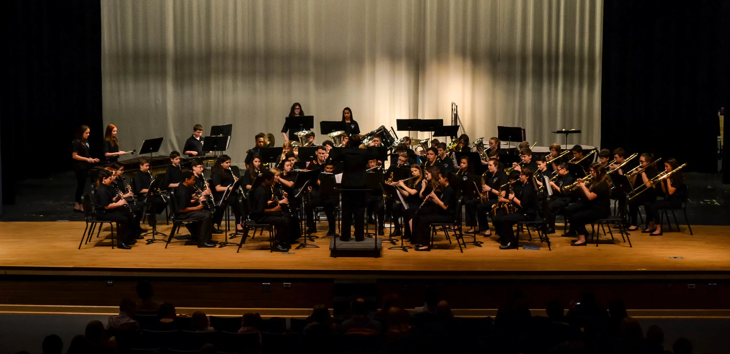 2019_0220_CHS-PyramidConcert-TCMS-IntBand-6.jpg