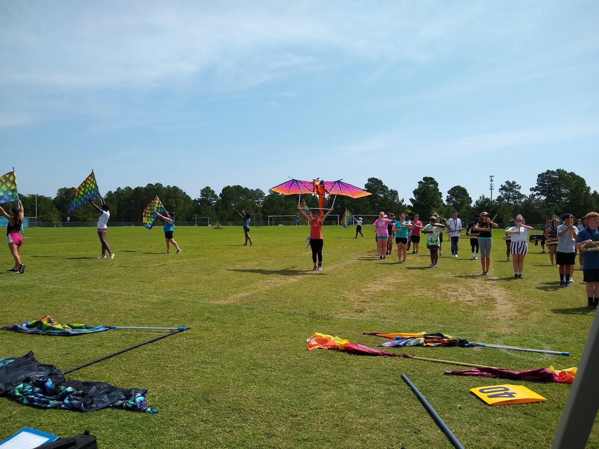 IMG_20190822_115024633.jpg