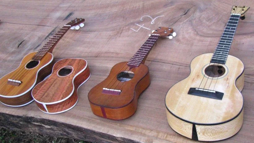 Ukeleles by Andy Gibson
