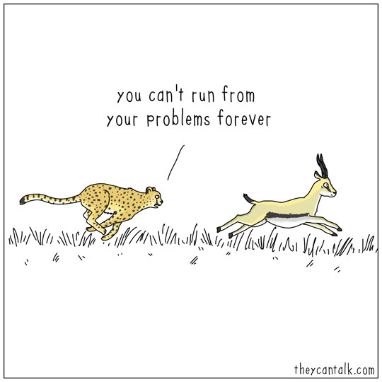 They Can Talk - theycantalk.com