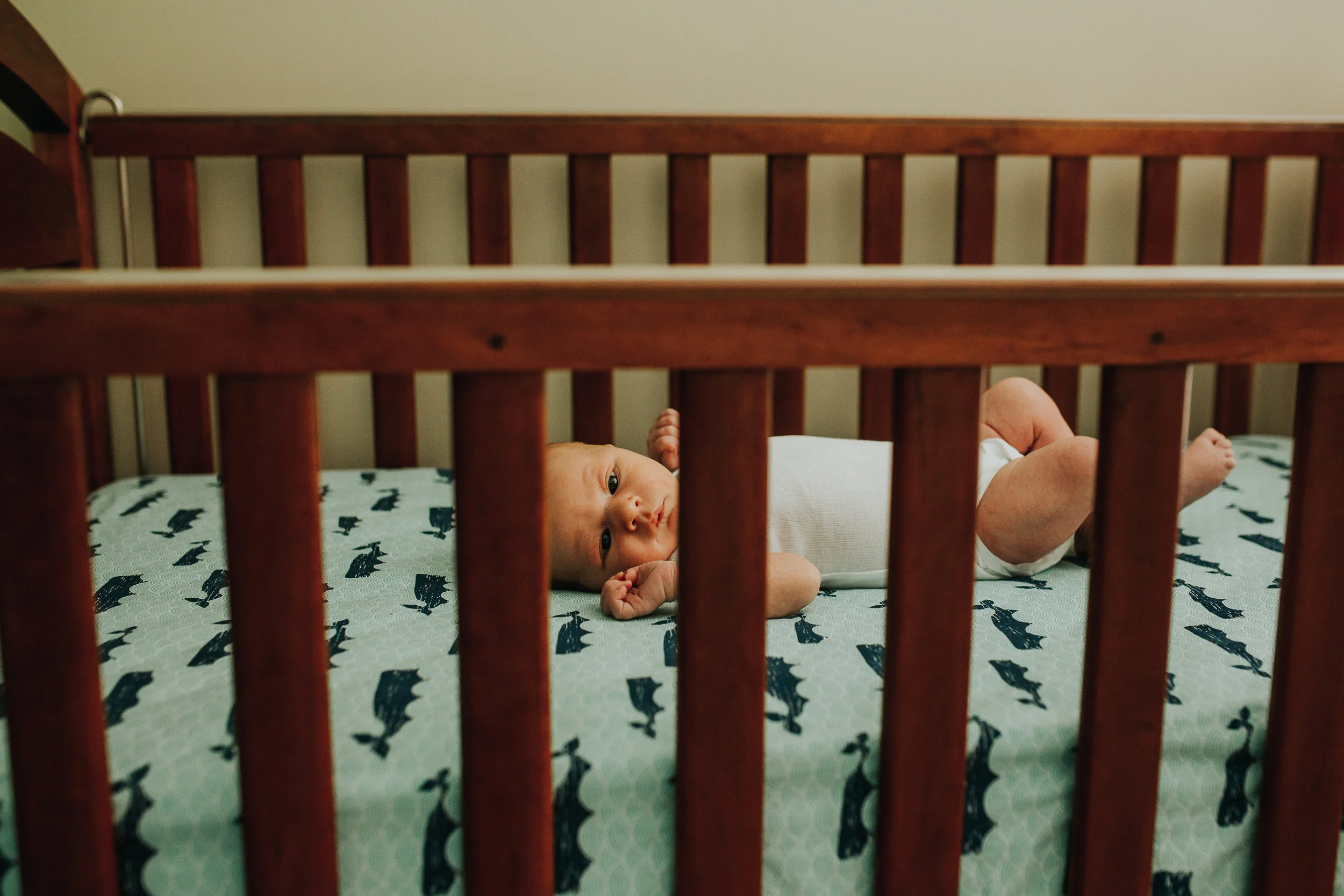 babycalder25.jpg