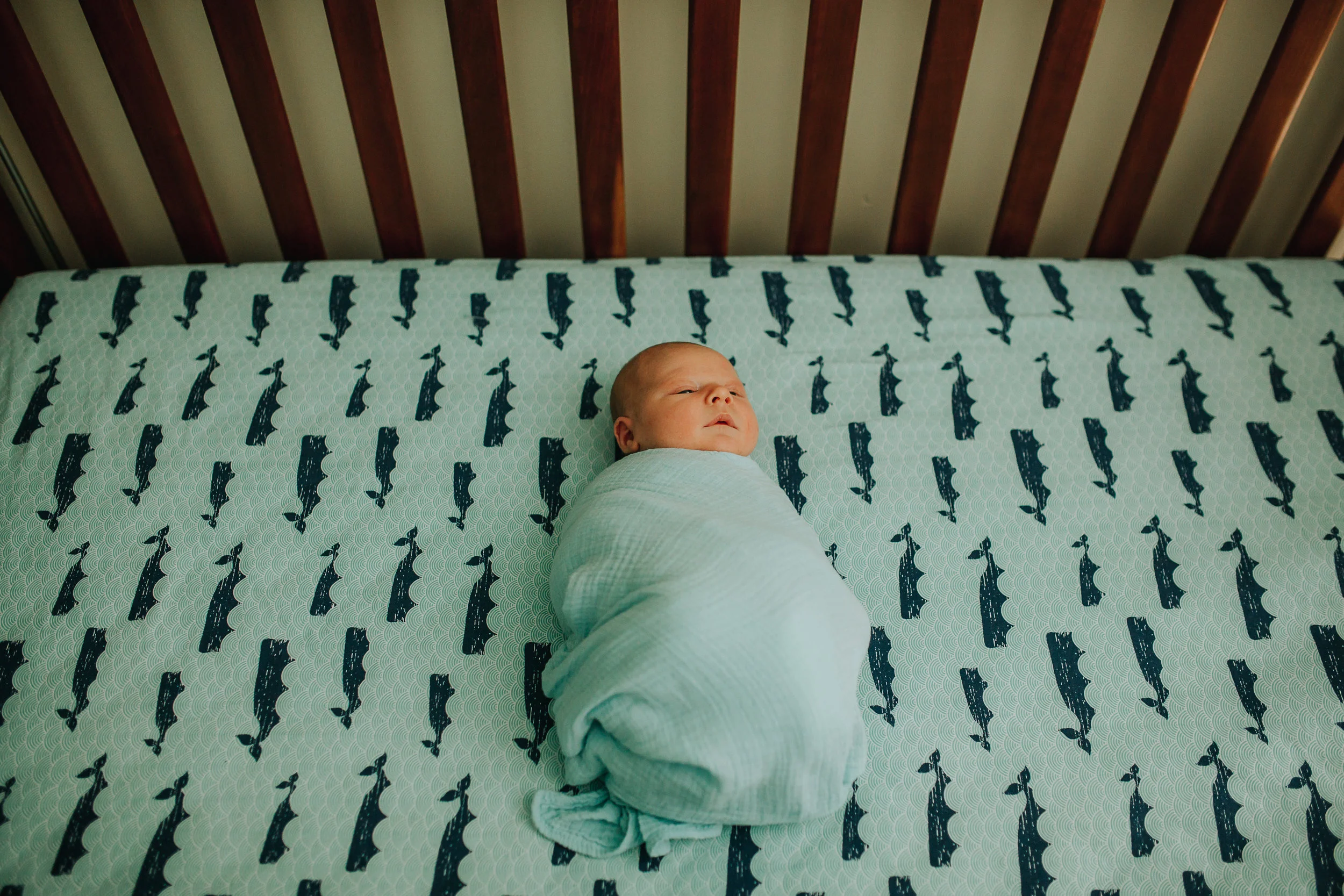 babycalder52.jpg