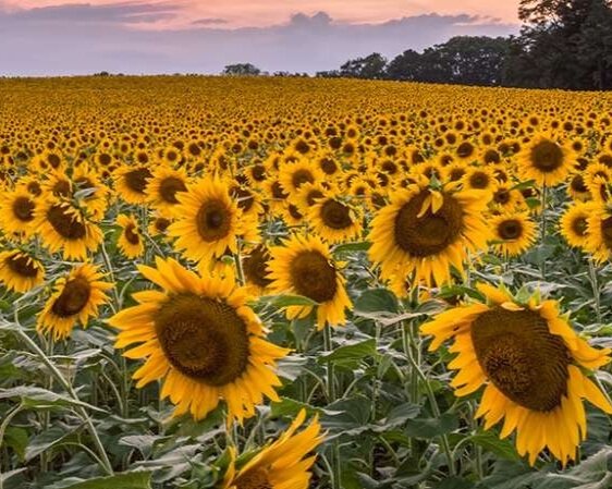 interiorheader_349a5106-f188-4595-8faa-74dbdbea309b.jpg