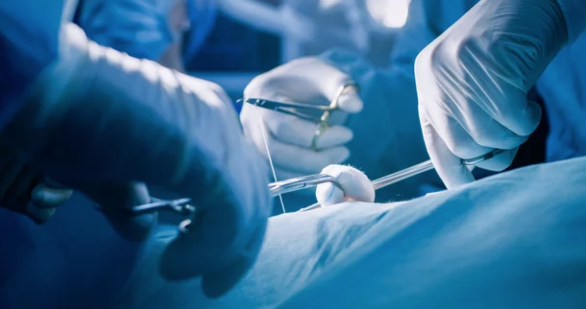 Screen Shot 2025-04-13 at 10.14.18 AM.png