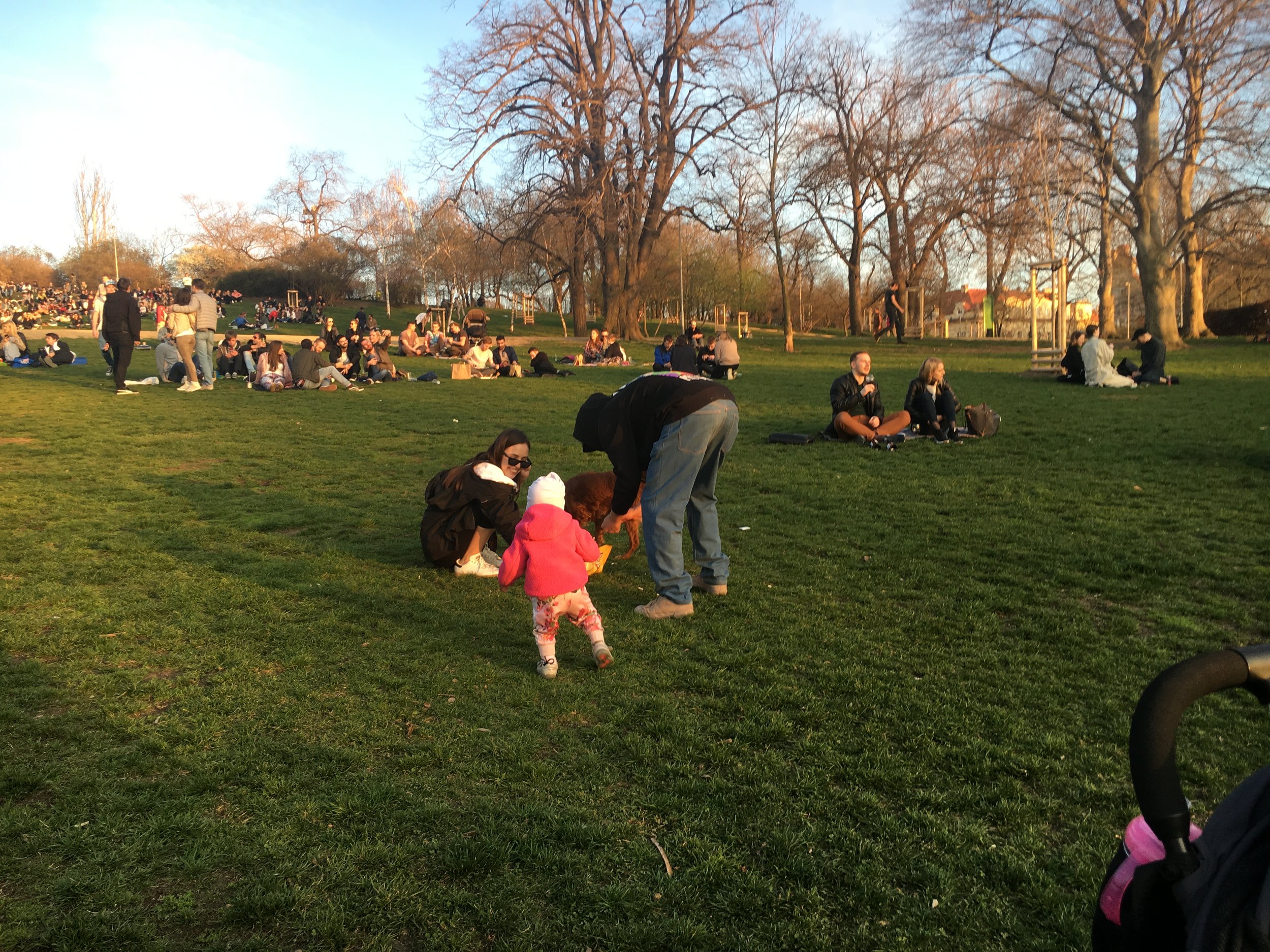 IMG_3471.jpeg