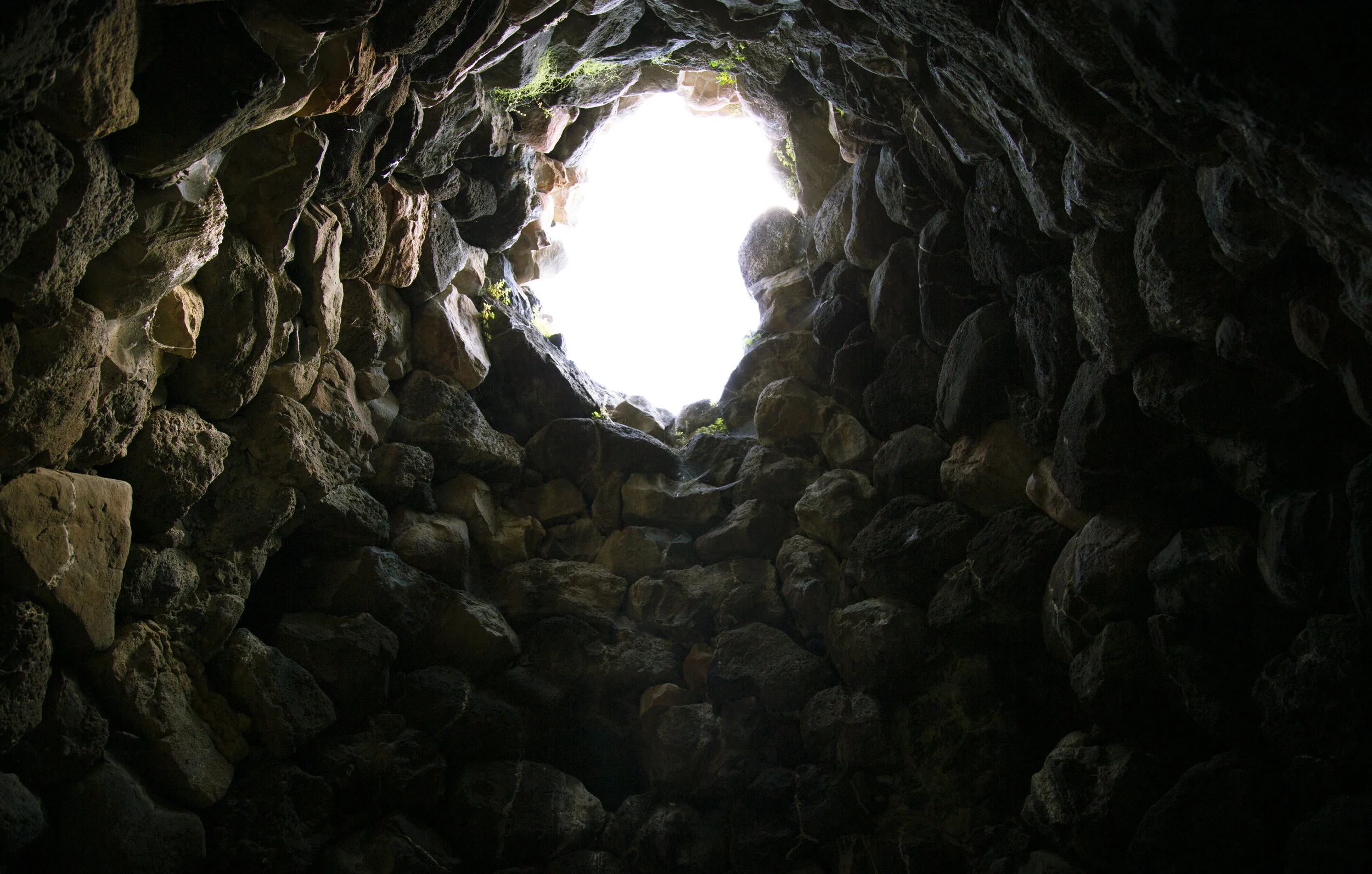 3I4A0087.jpg