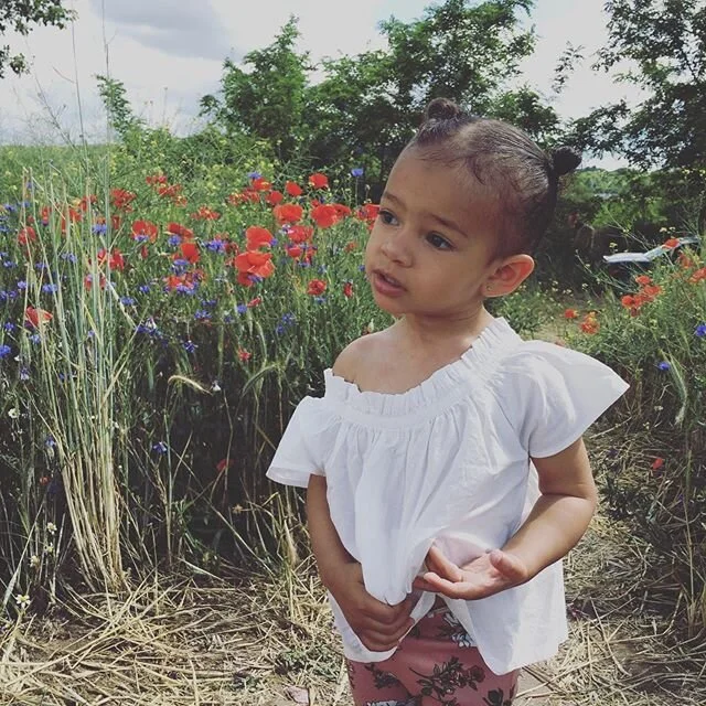 Poppy fields