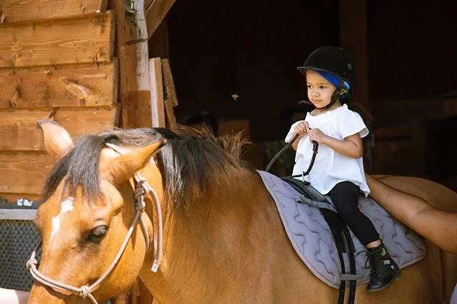 I take my riding very seriously... but I promise I had so much fun. (Even cried to go back, that my mom made a lesson for me next weekend!)
