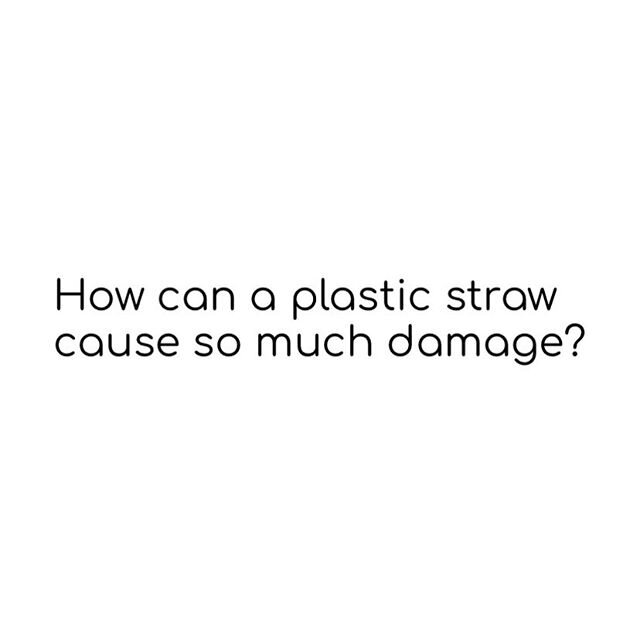 Help save the turtles by entering our new GIVEAWAY with @vspinkalberta!⠀
⠀
You might be wondering, &ldquo;How can a single plastic straw cause so much damage?&rdquo; Swipe ONCE to find out and swipe AGAIN to find out how YOU can help!⠀
⠀
Reusable str