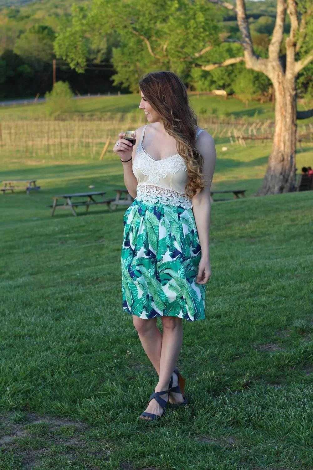 Blogging Struggles and What I've Learned