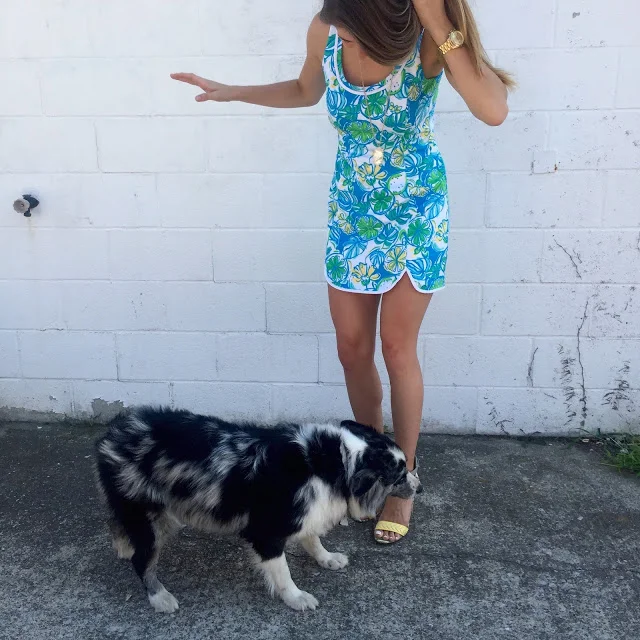 August Instagram Roundup