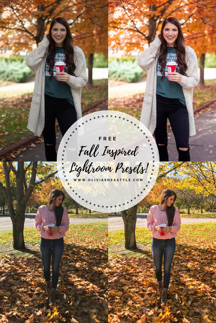 Fall Inspired Lightroom Presets.jpg