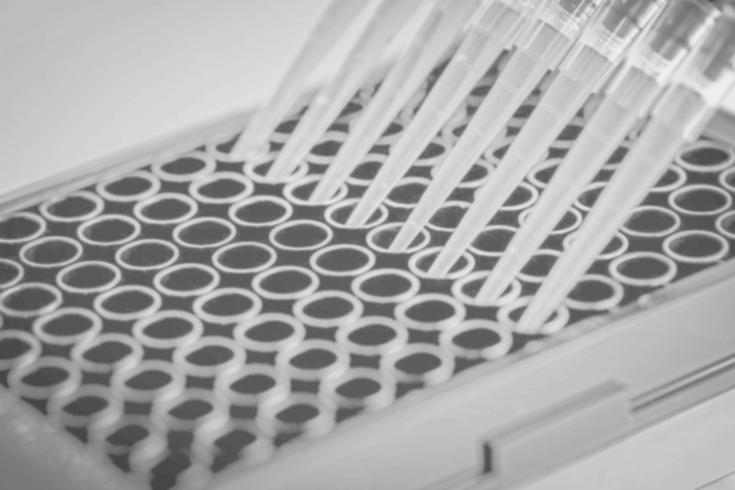 Multichannel pipette photo.jpg