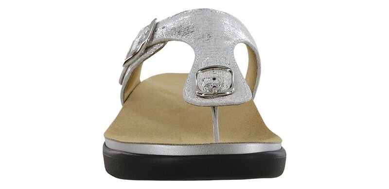 sanibelshinysilver_5_1.jpg