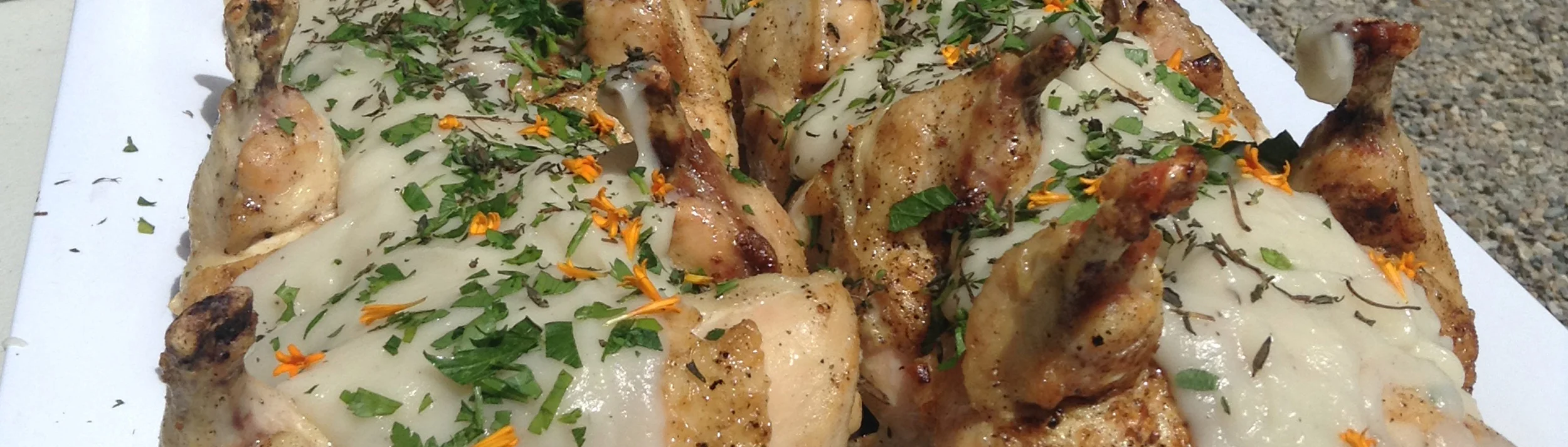 Menu — Sagebrush Grille — Food Truck & Catering — Jackson WY