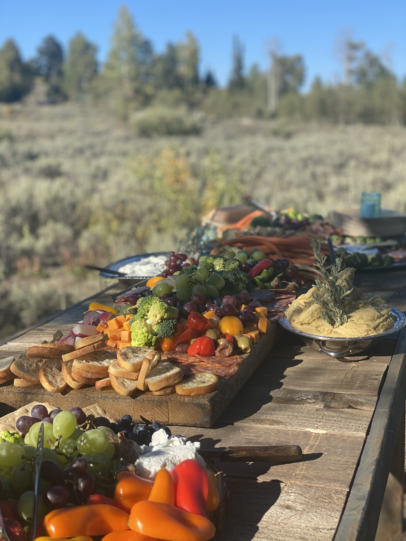 Screenshot 2024-02-22 at 5.51.19 PM.png