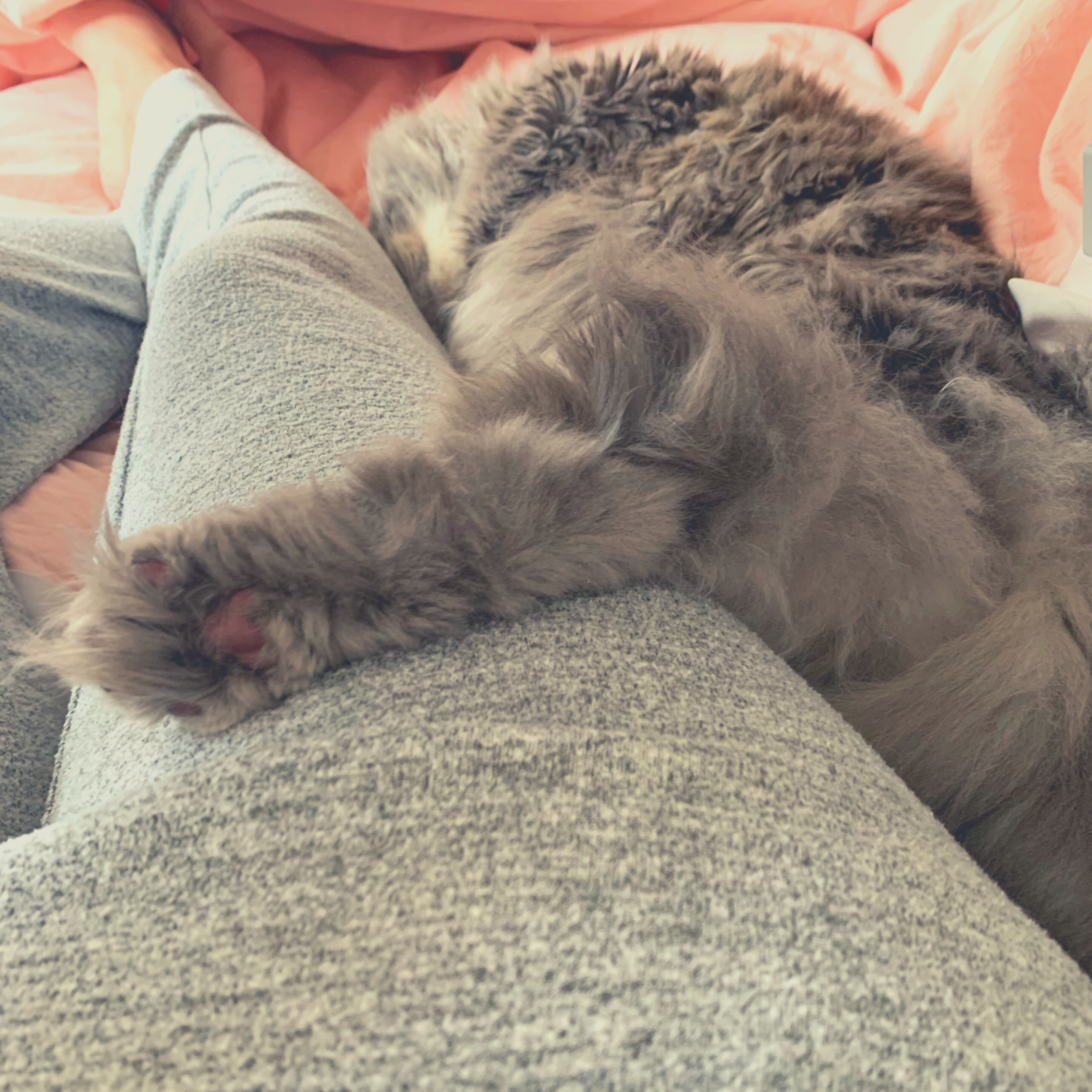 Taking Time to Reflect