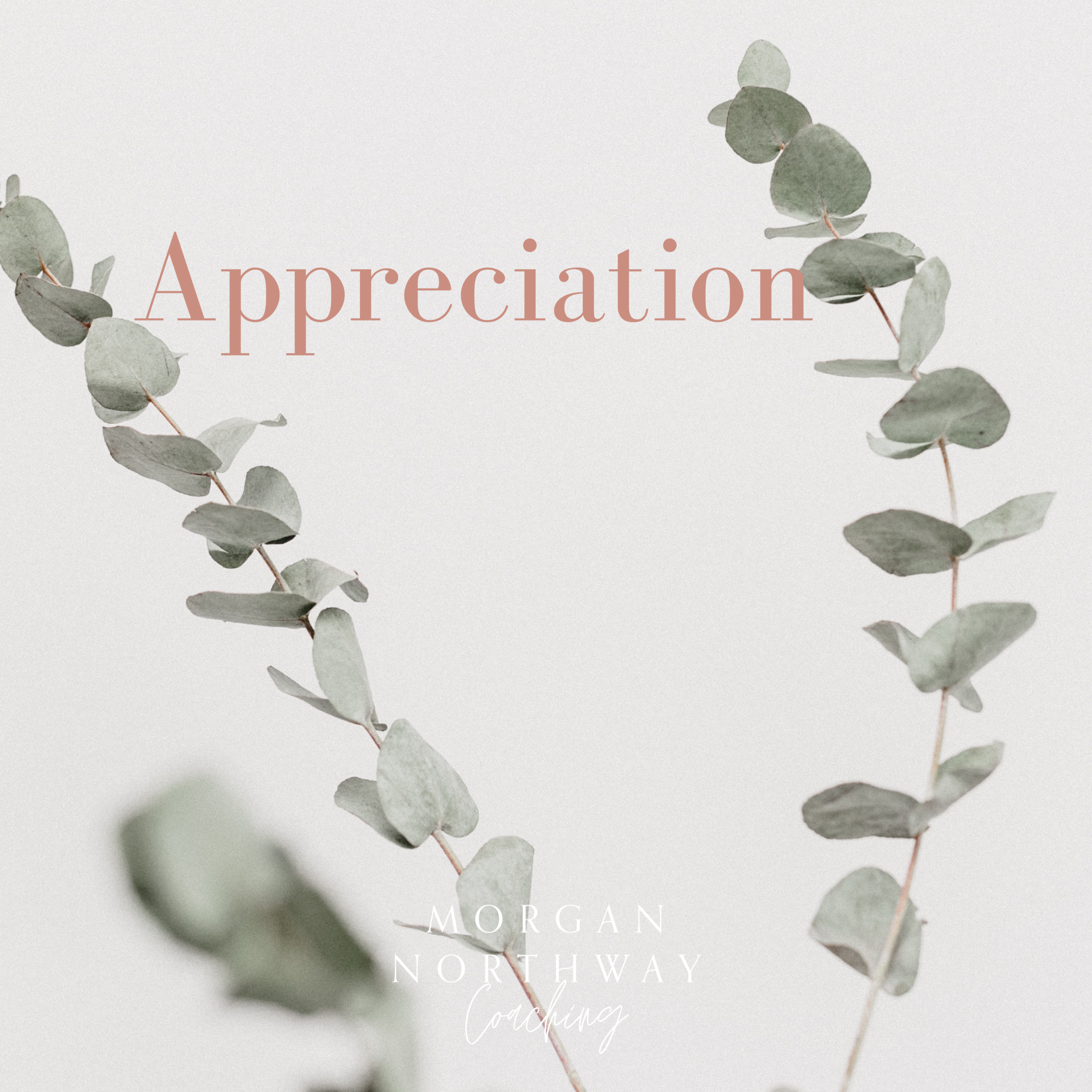 Appreciation