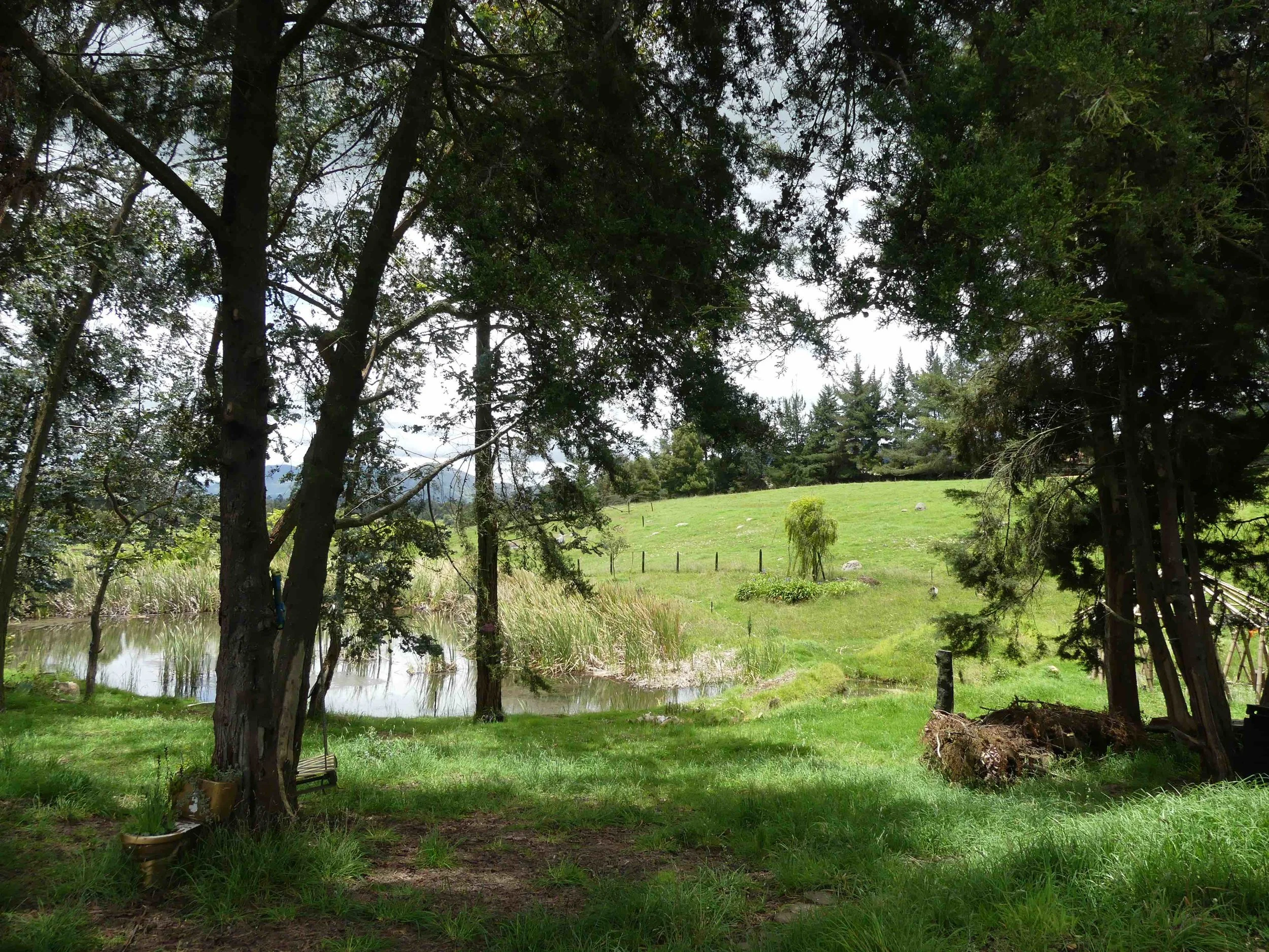 tierra de san antonio.jpg