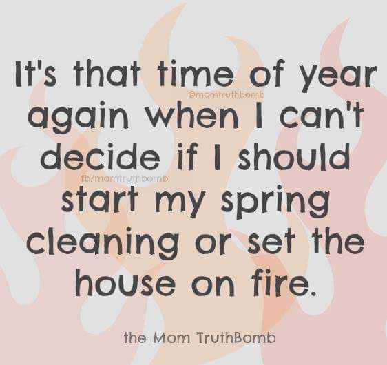 the time of year when you should spring clean or torch the house.jpg