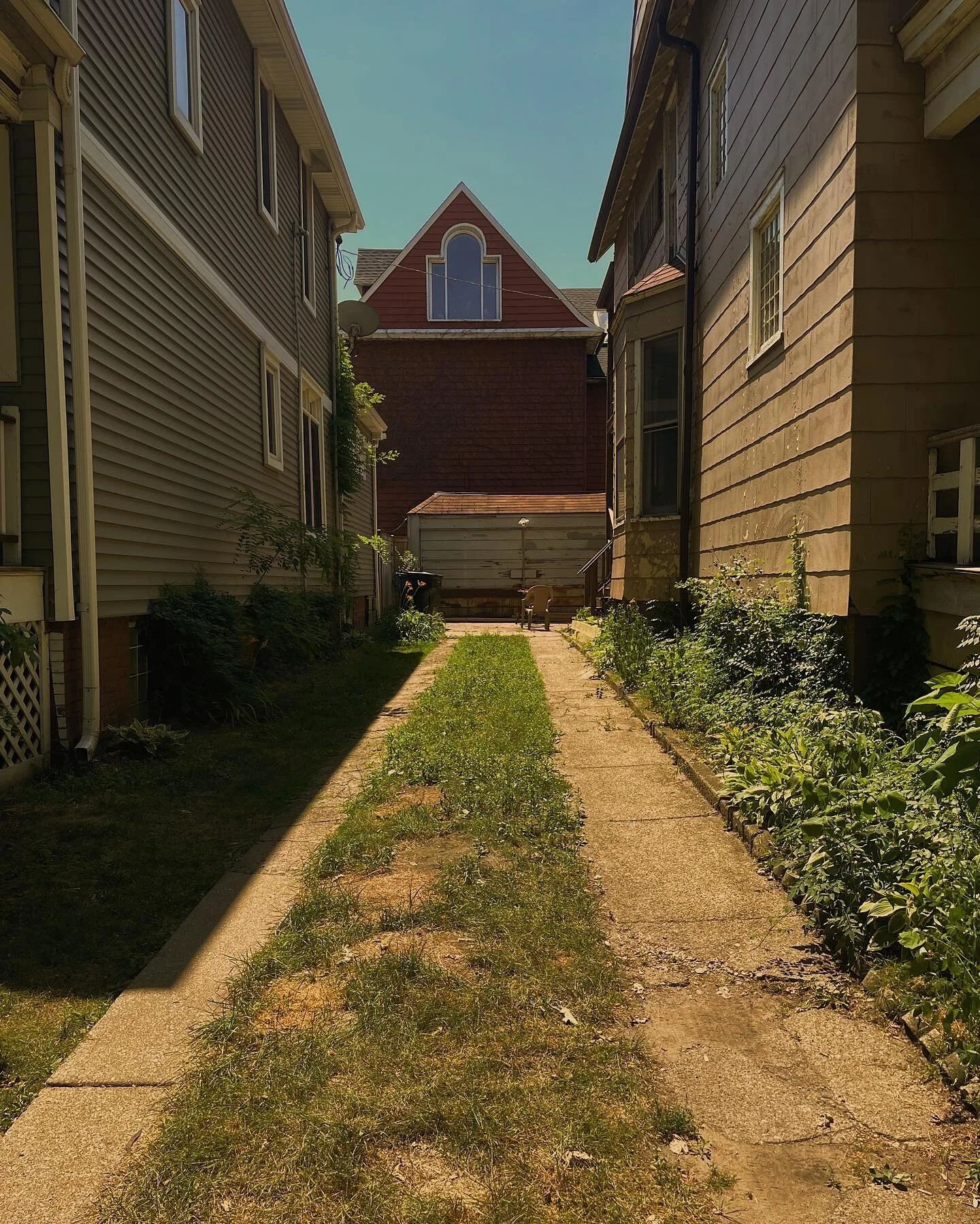I&rsquo;ve been taking vertical landscapes and questioning everything