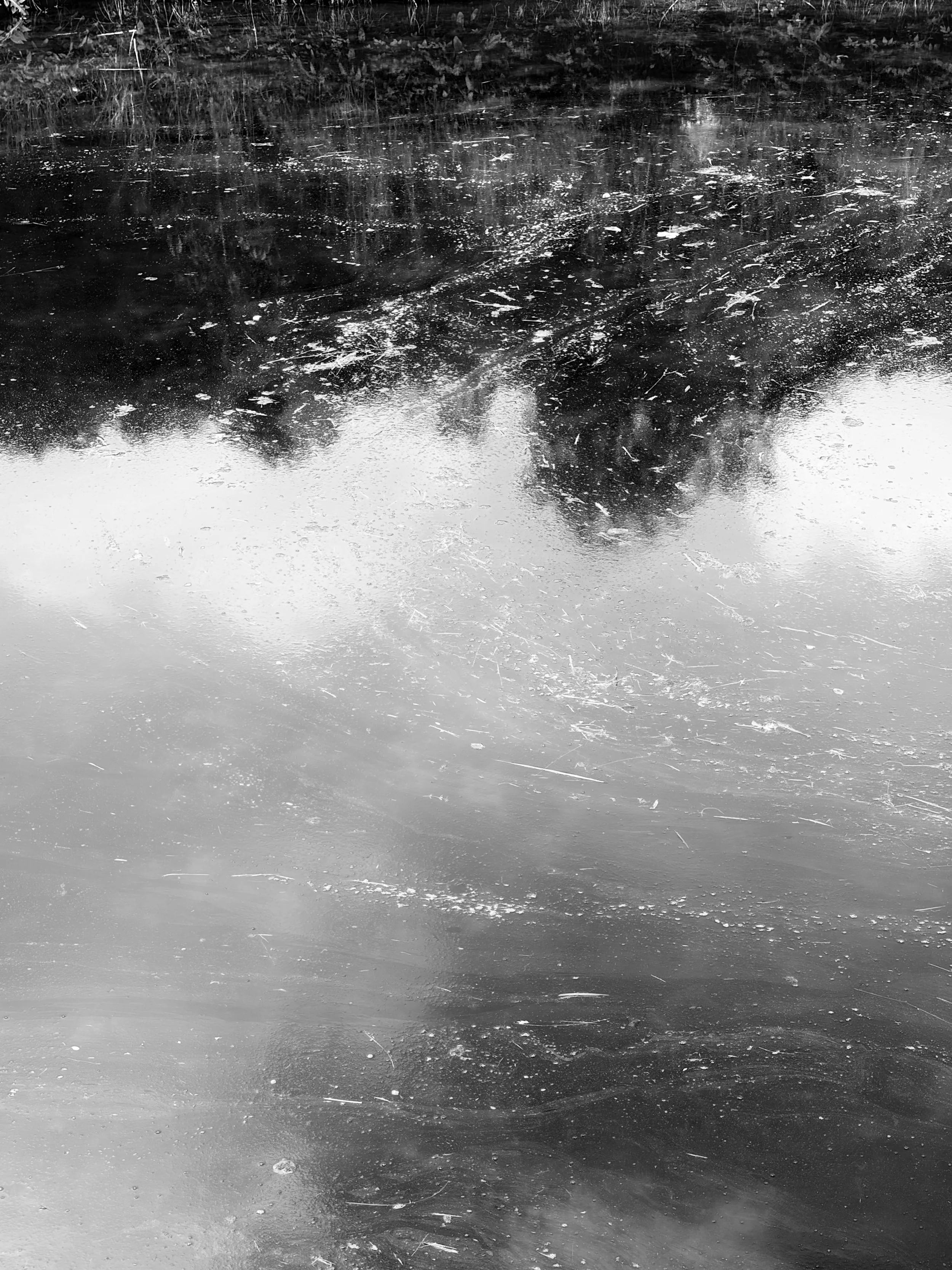 It's the water