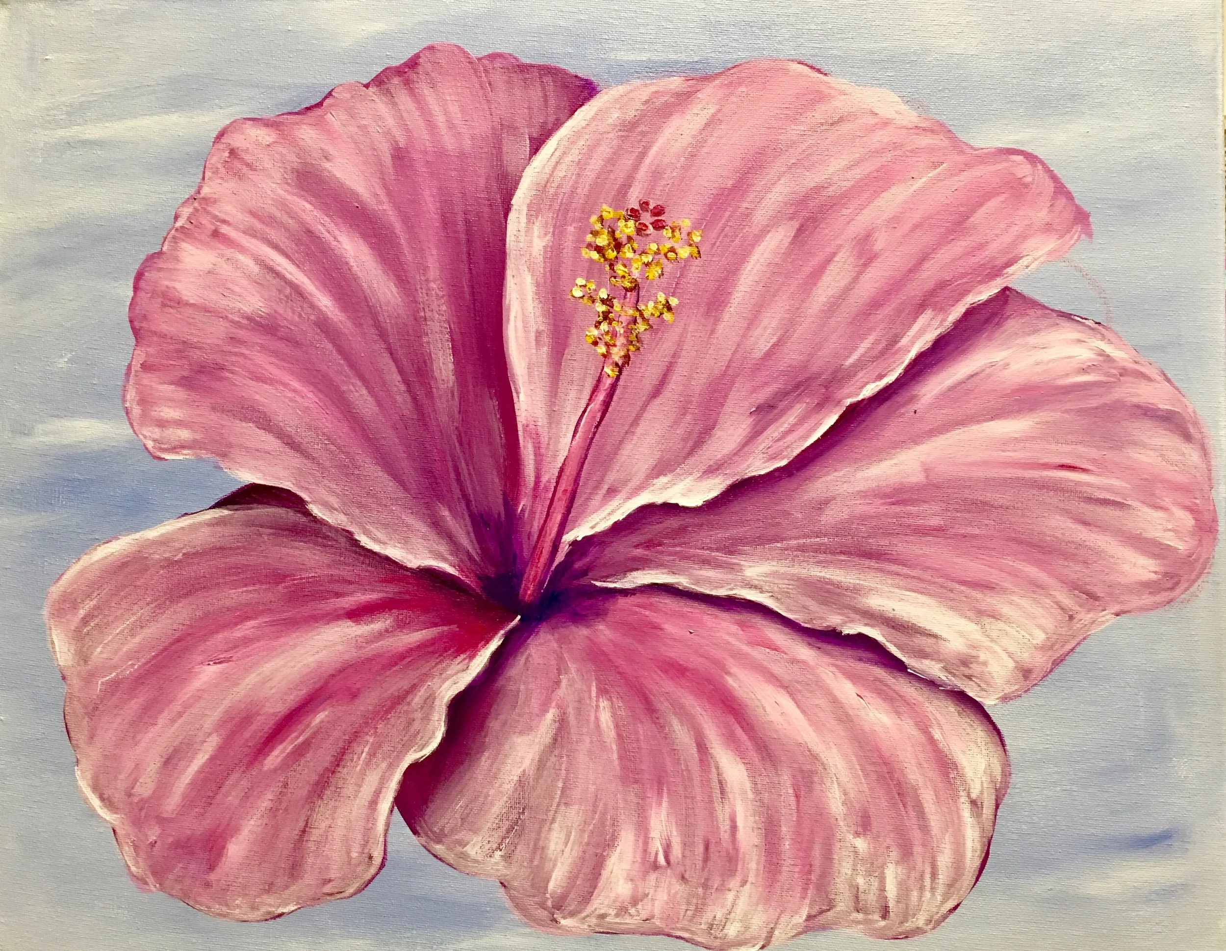 Hibiscus.jpg