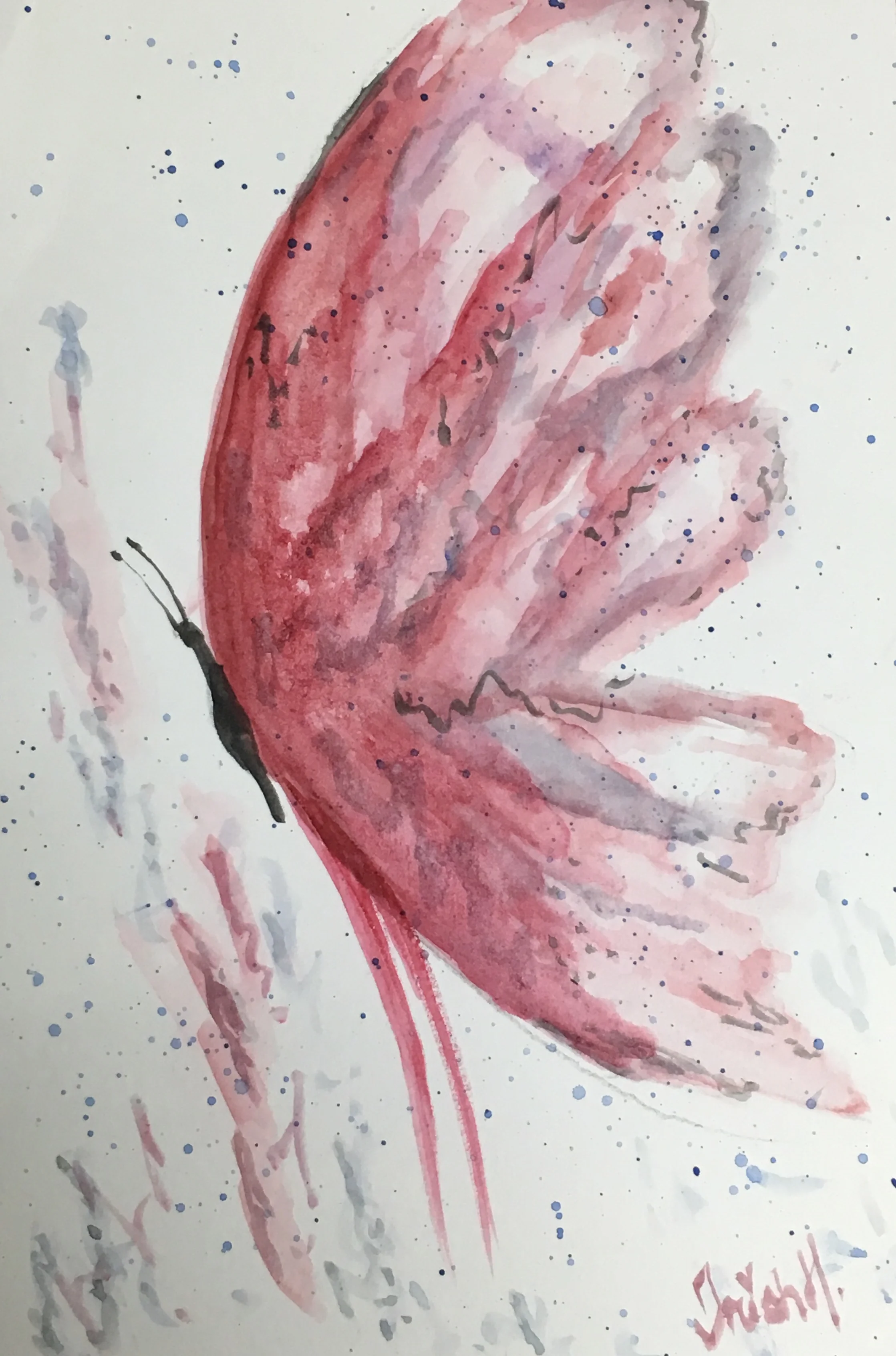Butterfly set Watercolor Class $22