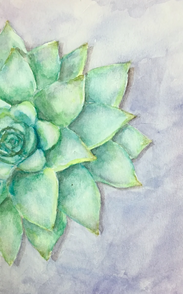 Succulent Watercolor Workshop $22  Trish Henkel Art