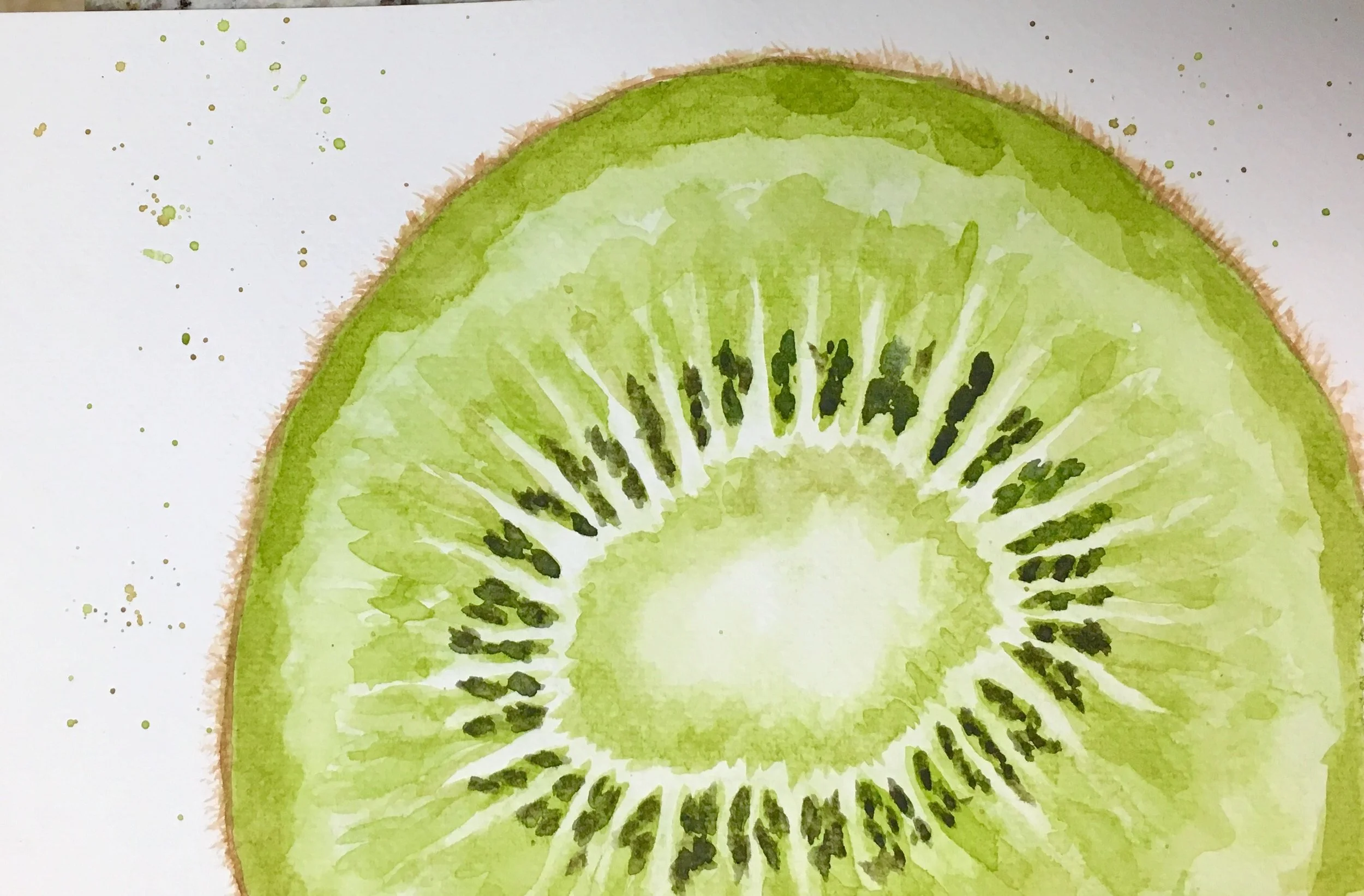 kiwi.jpg
