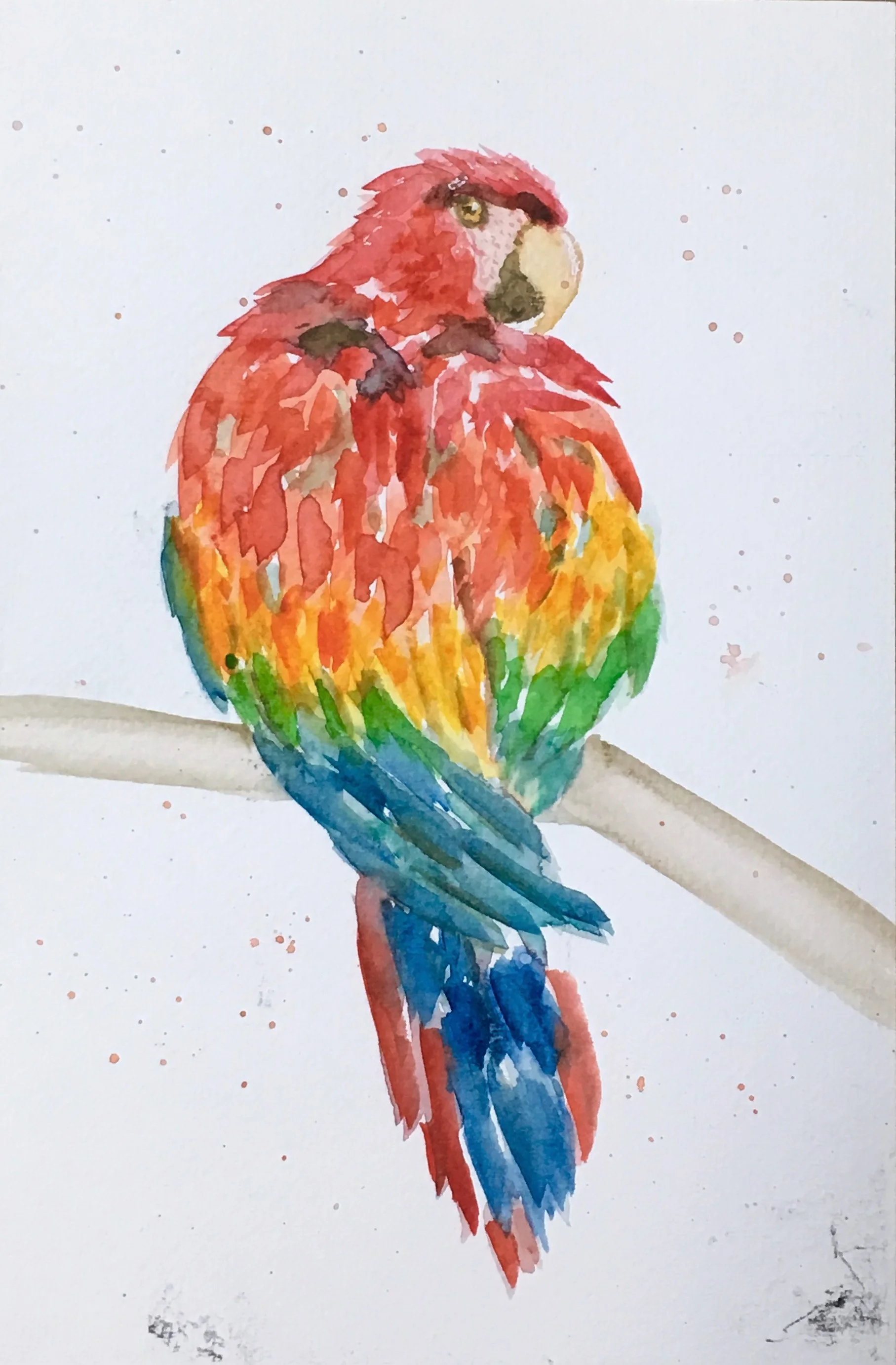 Rainbow Parrot Watercolor Class $22