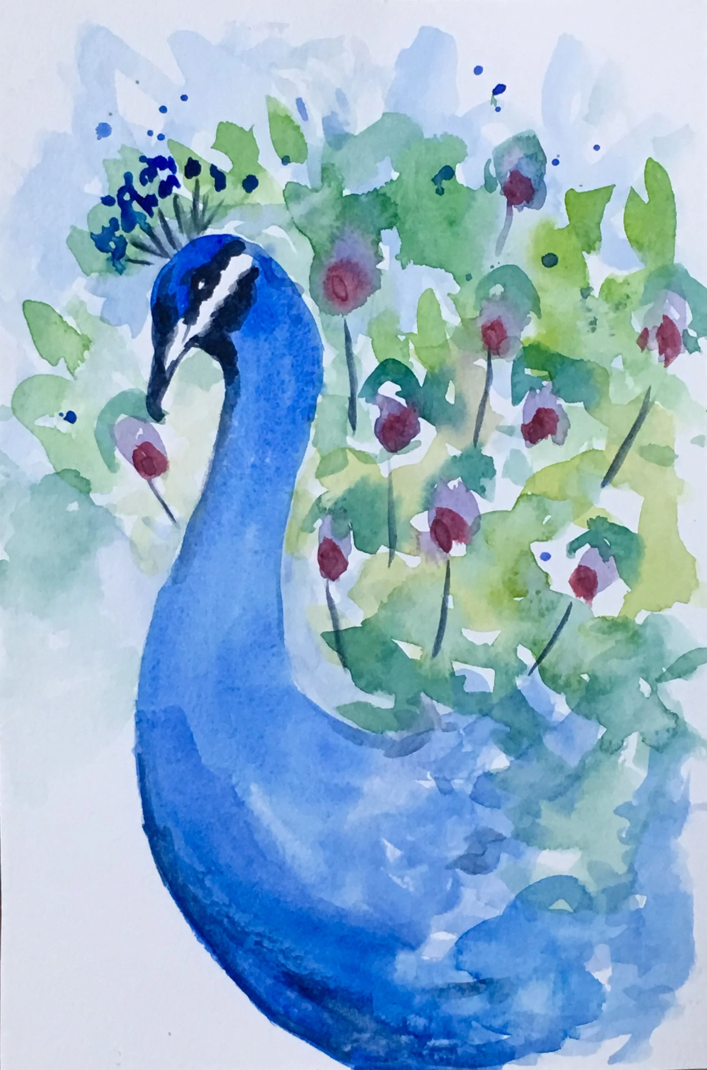 Peacock Watercolor Class  $22