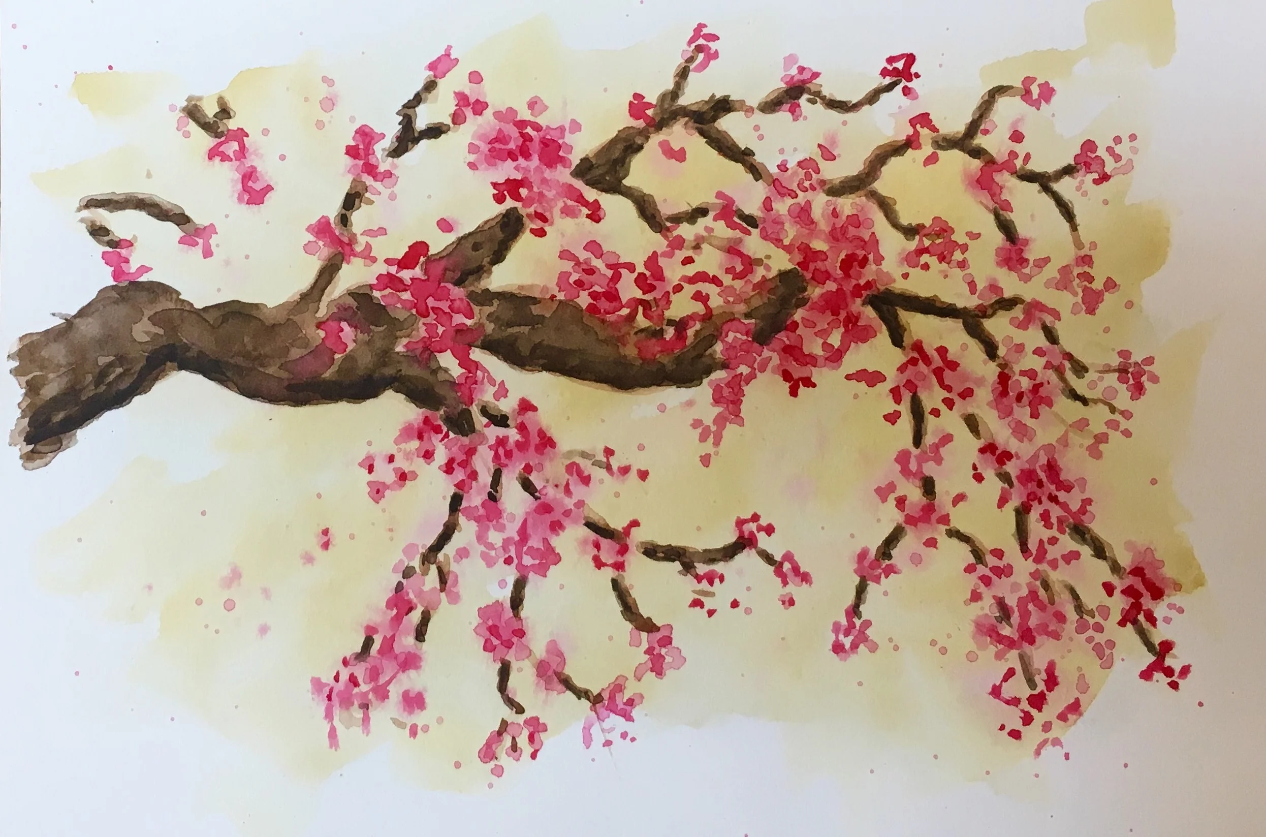 Cherry Blossom Branch watercolor class  $22