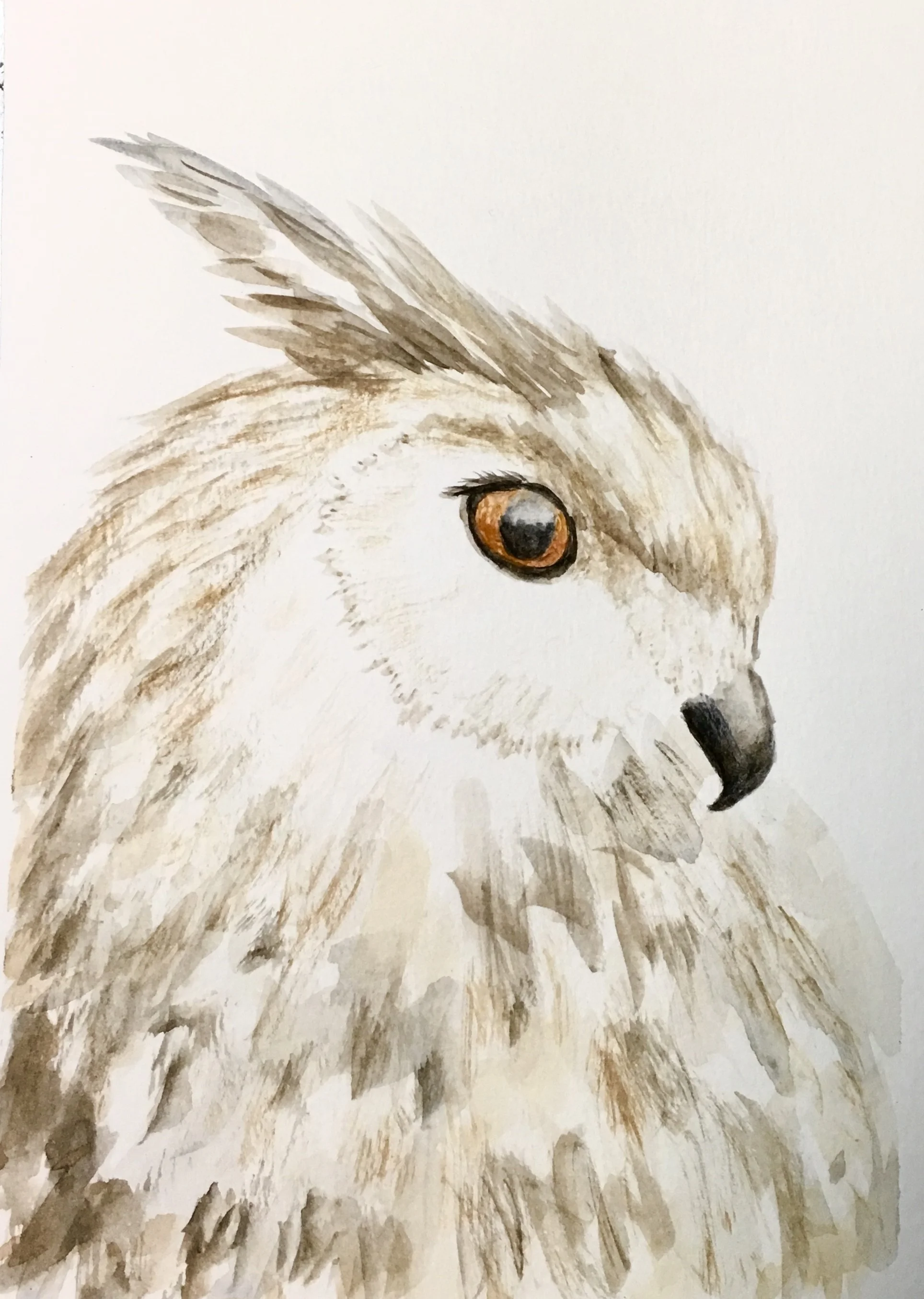 Wise Horned Owl watercolor class $22