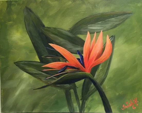 bird of paradise.JPG