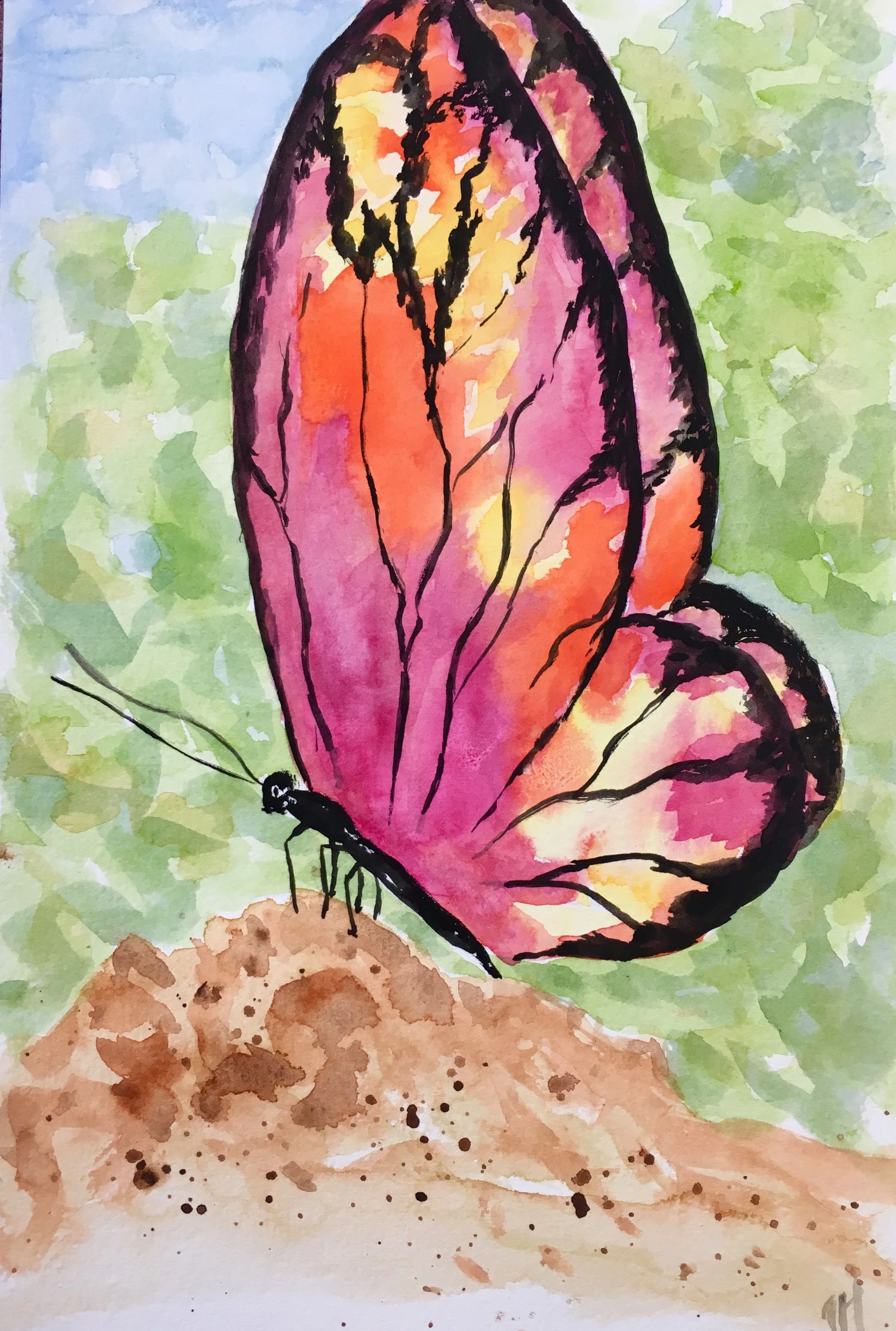 Butterfly Beauty  Watercolor class $22